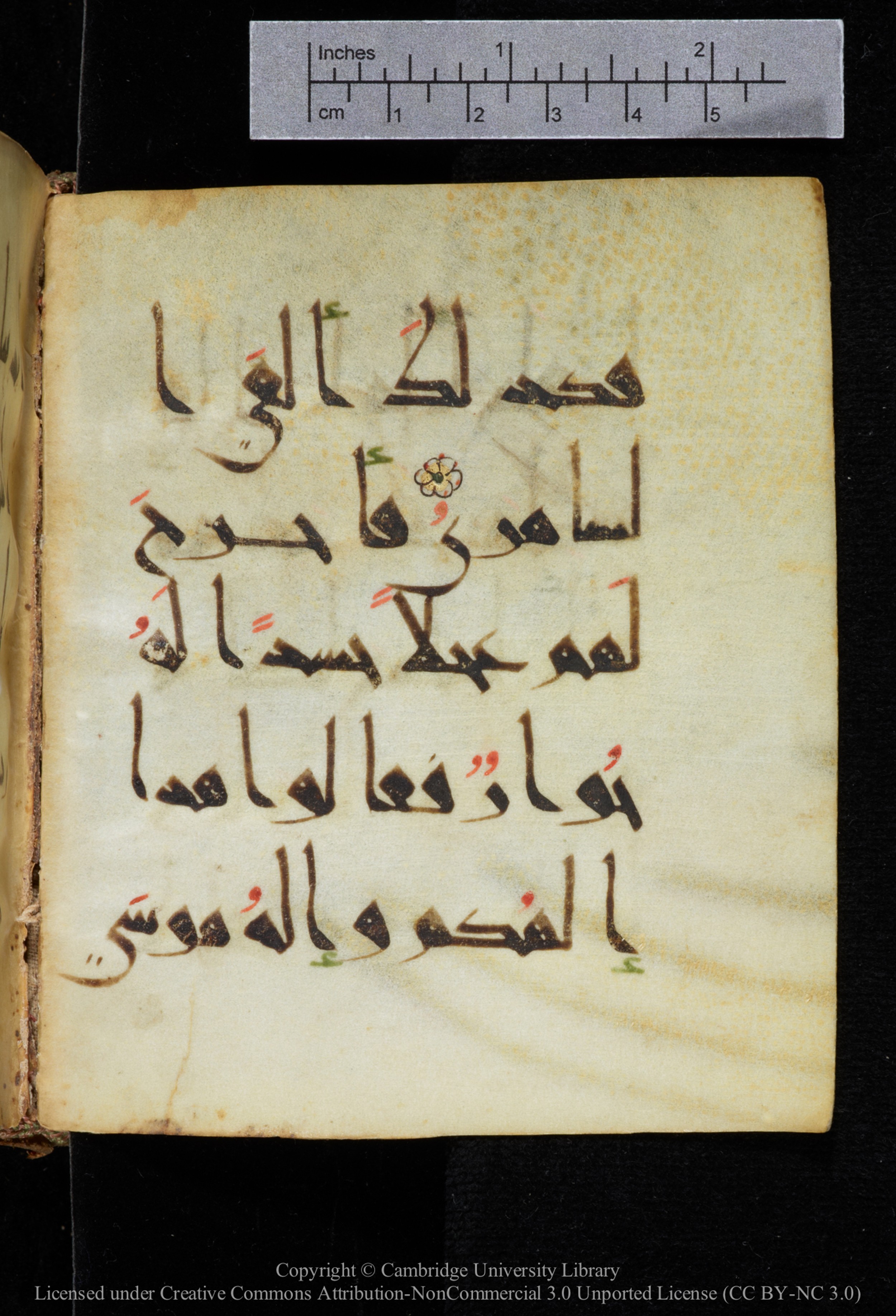 Cambridge, Cambridge University Library, MS Add.2964 (Scan 2), in New Style I script, showing Surah 20:87 from 10th to 11th Century AD found in Unknown, currently housed at Cambridge University Library, Cambridge