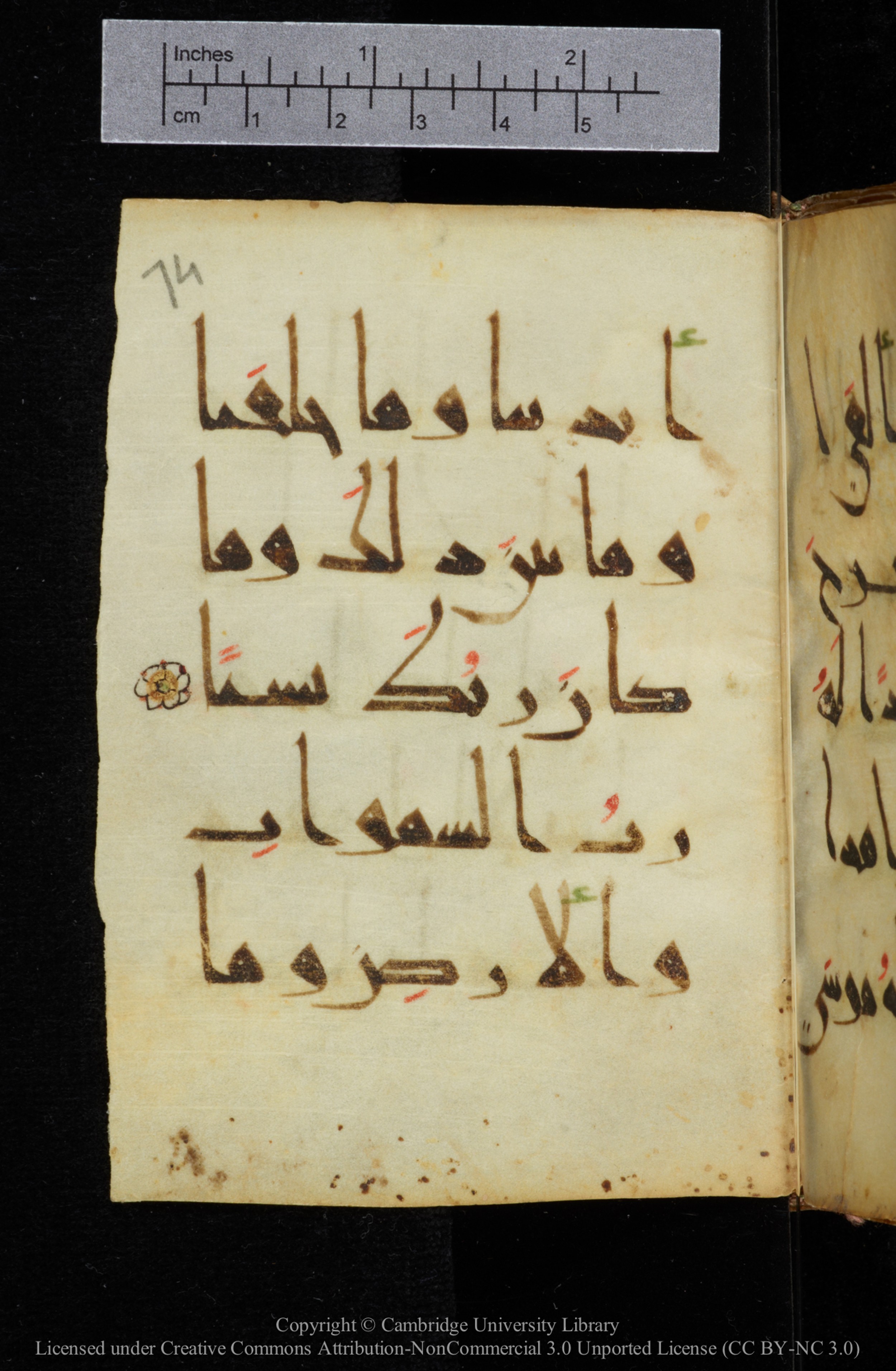 Cambridge, Cambridge University Library, MS Add.2964, in New Style I script, showing Surah 19:64 from 10th to 11th Century AD found in Unknown, currently housed at Cambridge University Library, Cambridge