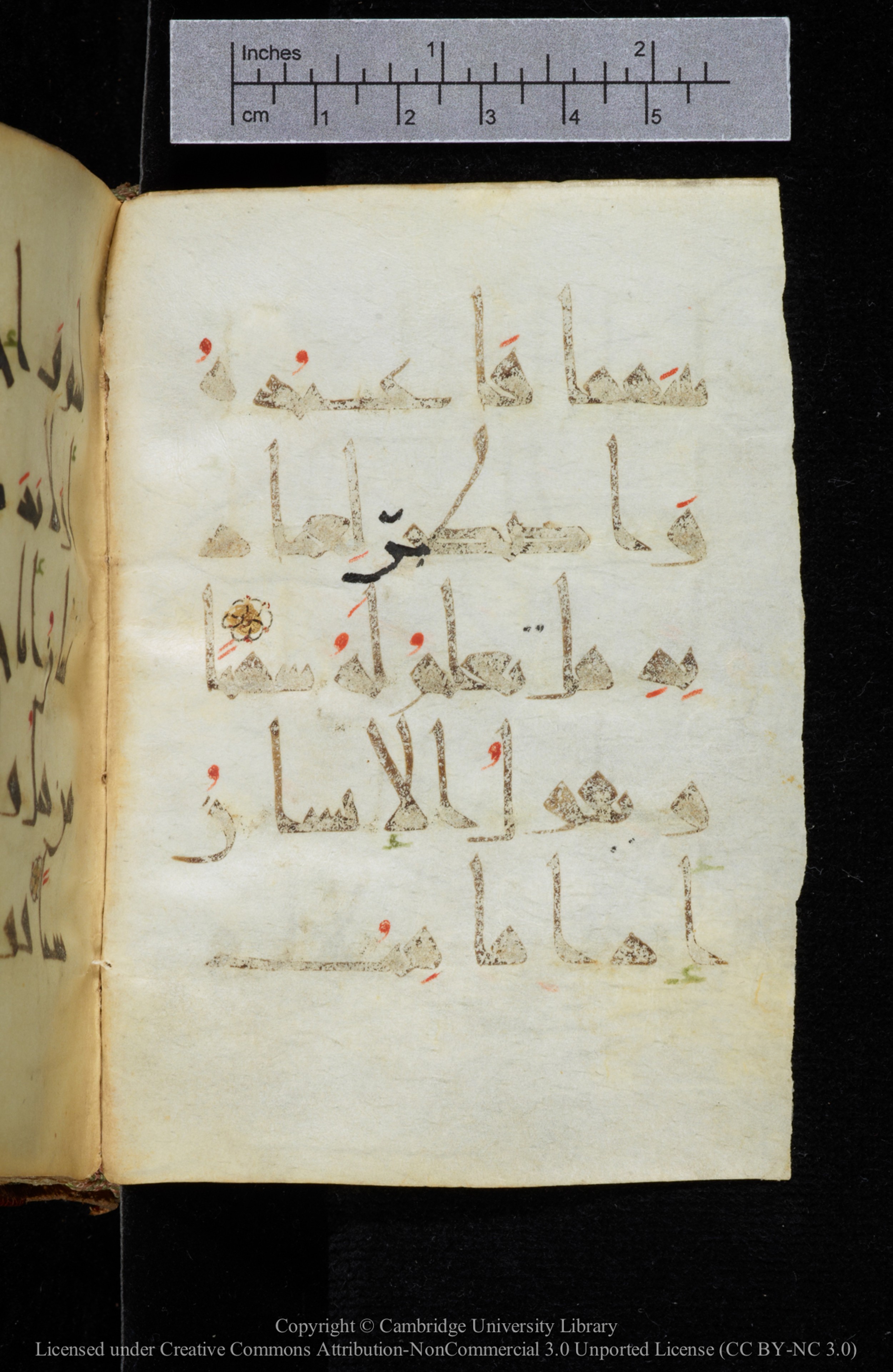Cambridge, Cambridge University Library, MS Add.2964 (Scan 2), in New Style I script, showing Surah 19:65 from 10th to 11th Century AD found in Unknown, currently housed at Cambridge University Library, Cambridge
