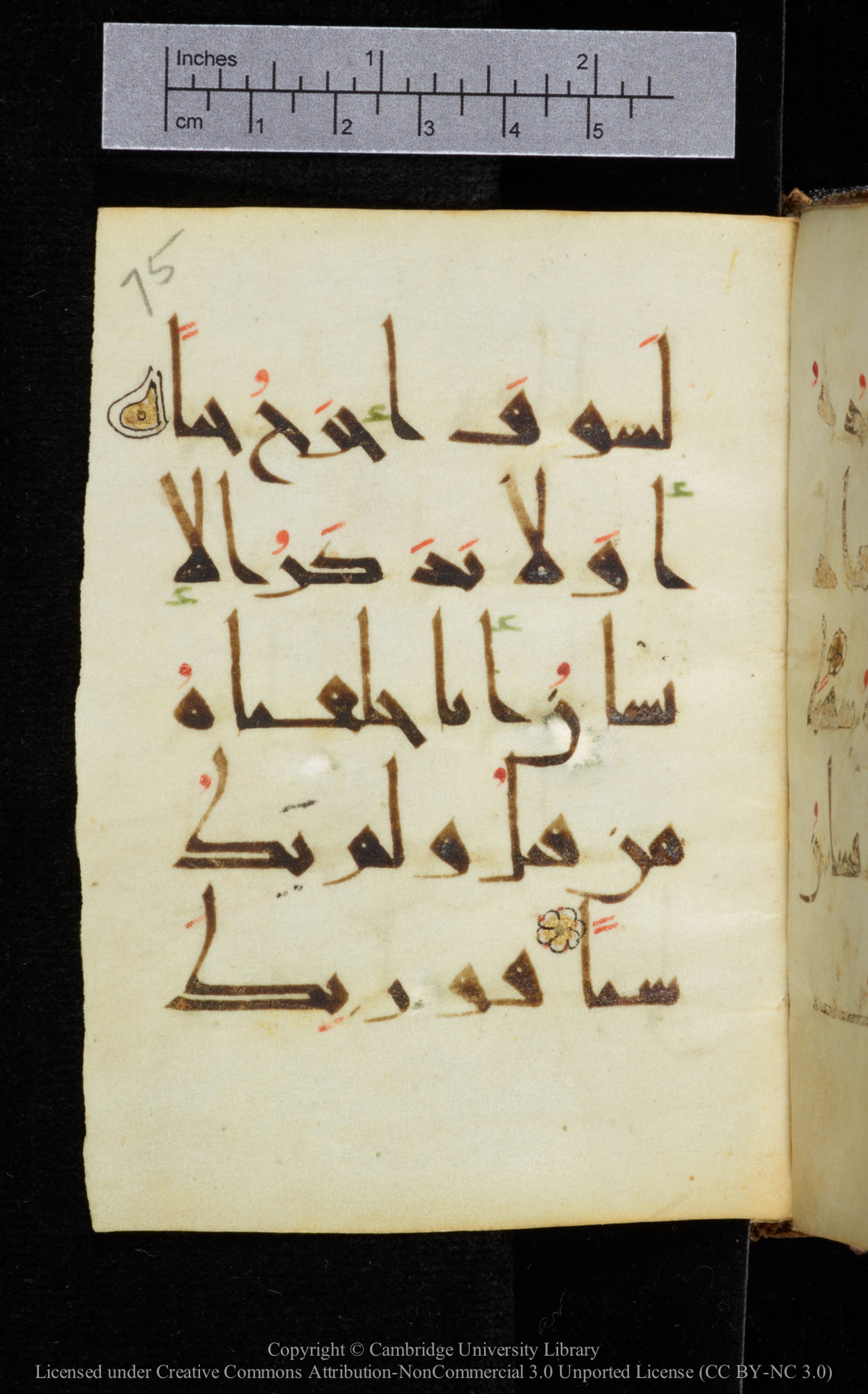 Cambridge, Cambridge University Library, MS Add.2964, in New Style I script, showing Surah 19:67 from 10th to 11th Century AD found in Unknown, currently housed at Cambridge University Library, Cambridge