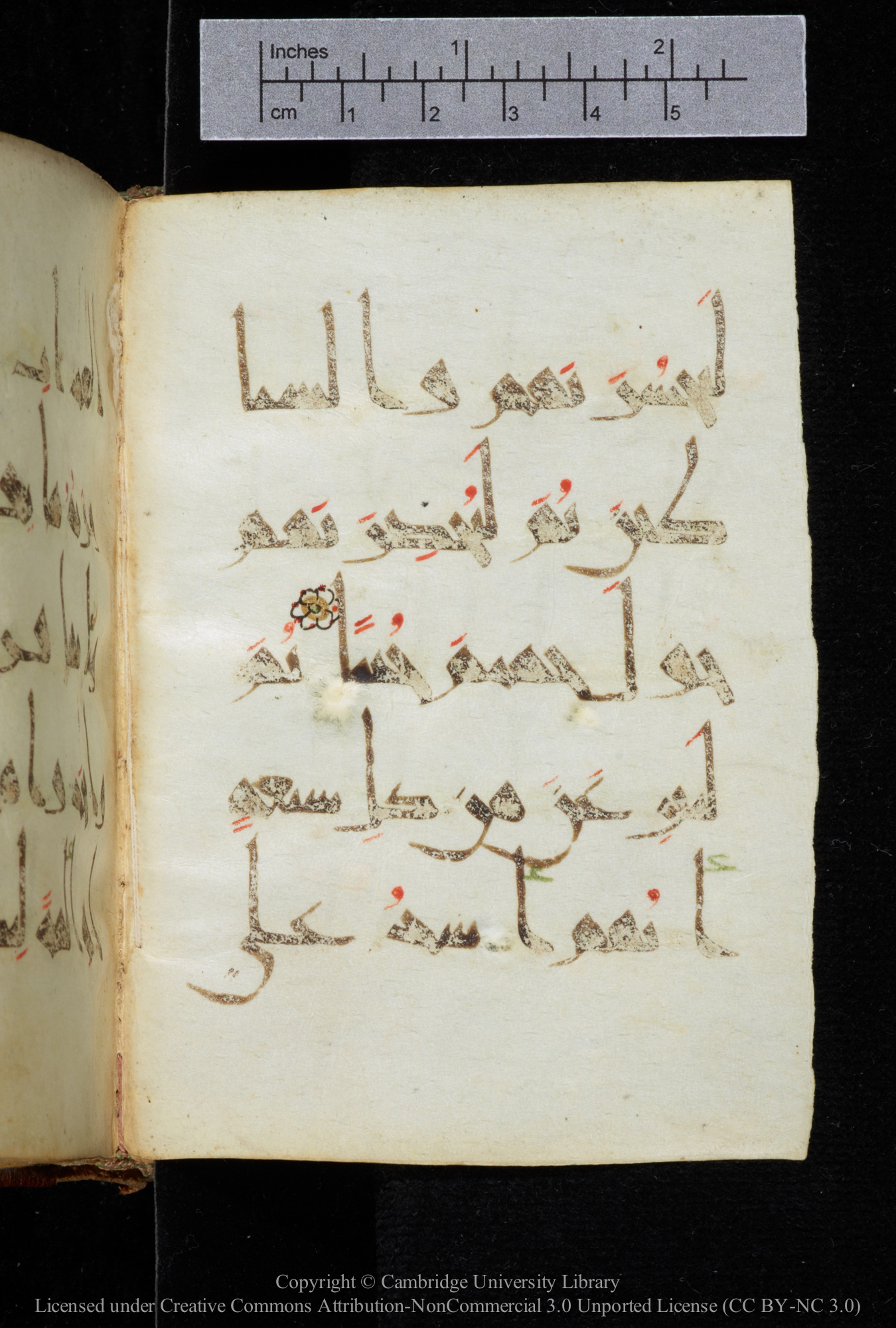 Cambridge, Cambridge University Library, MS Add.2964 (Scan 2), in New Style I script, showing Surah 19:69 from 10th to 11th Century AD found in Unknown, currently housed at Cambridge University Library, Cambridge