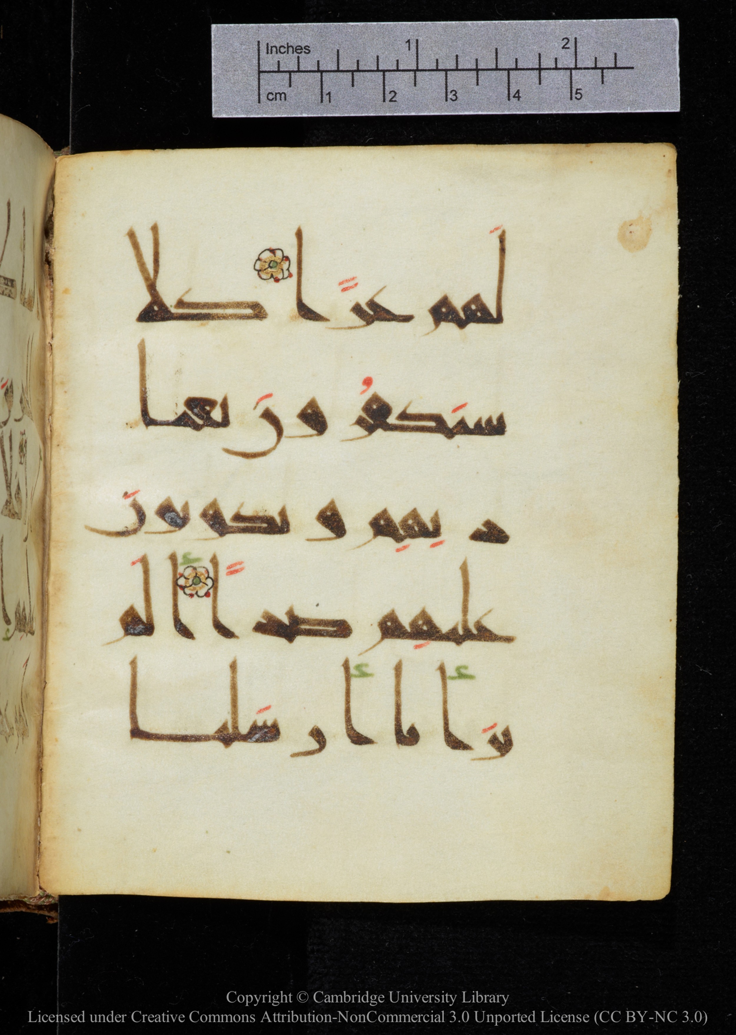 Cambridge, Cambridge University Library, MS Add.2964 (Scan 1), in New Style I script, showing Surah 19:83 from 10th to 11th Century AD found in Unknown, currently housed at Cambridge University Library, Cambridge