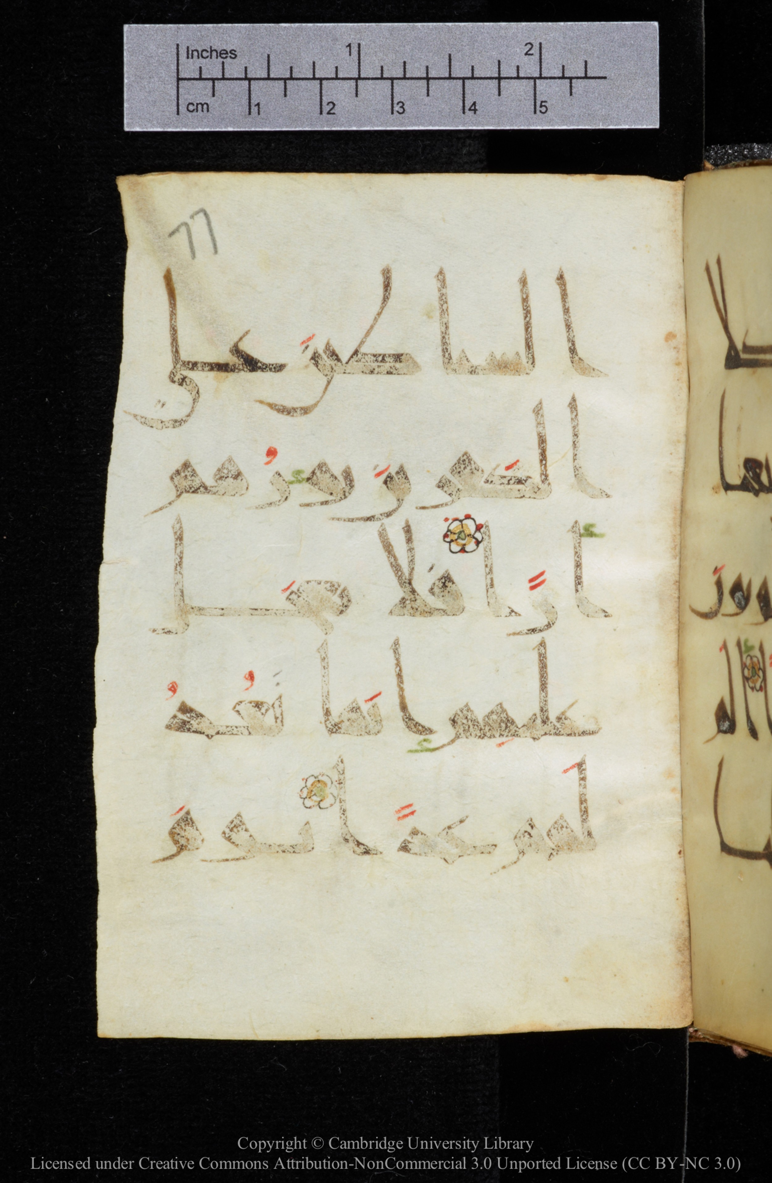 Cambridge, Cambridge University Library, MS Add.2964 (Scan 2), in New Style I script, showing Surah 19:83 from 10th to 11th Century AD found in Unknown, currently housed at Cambridge University Library, Cambridge