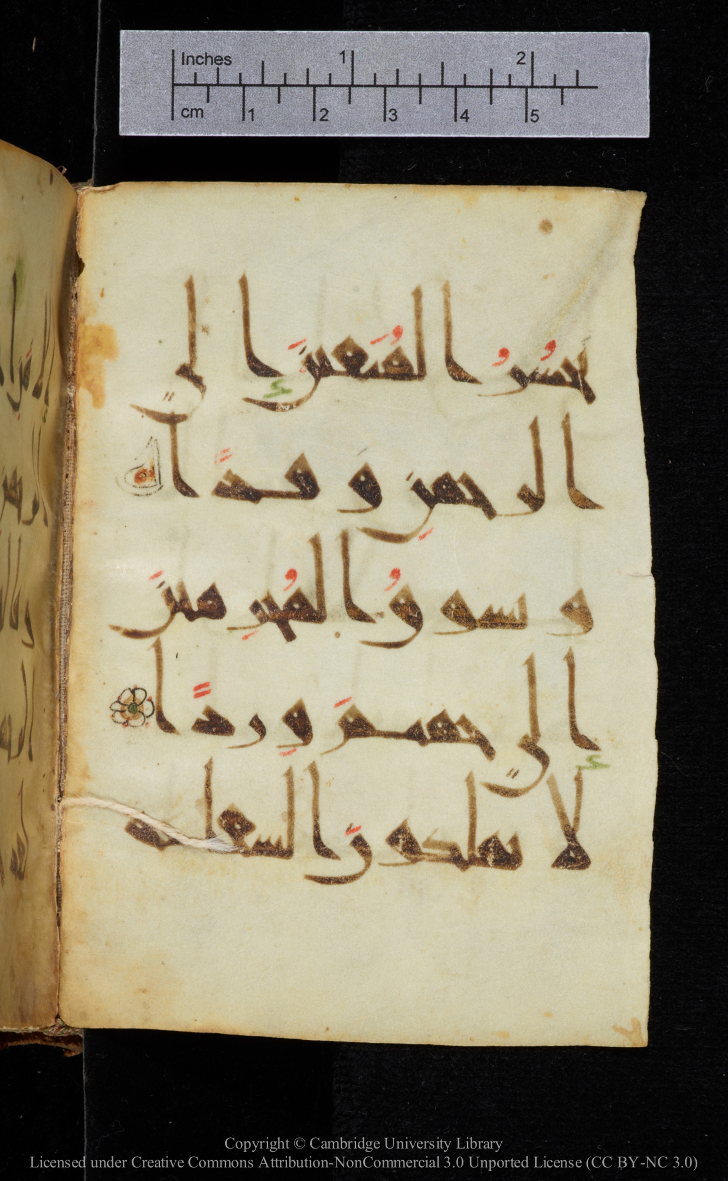 Cambridge, Cambridge University Library, MS Add.2964 (Scan 2), in New Style I script, showing Surah 19:85 from 10th to 11th Century AD found in Unknown, currently housed at Cambridge University Library, Cambridge