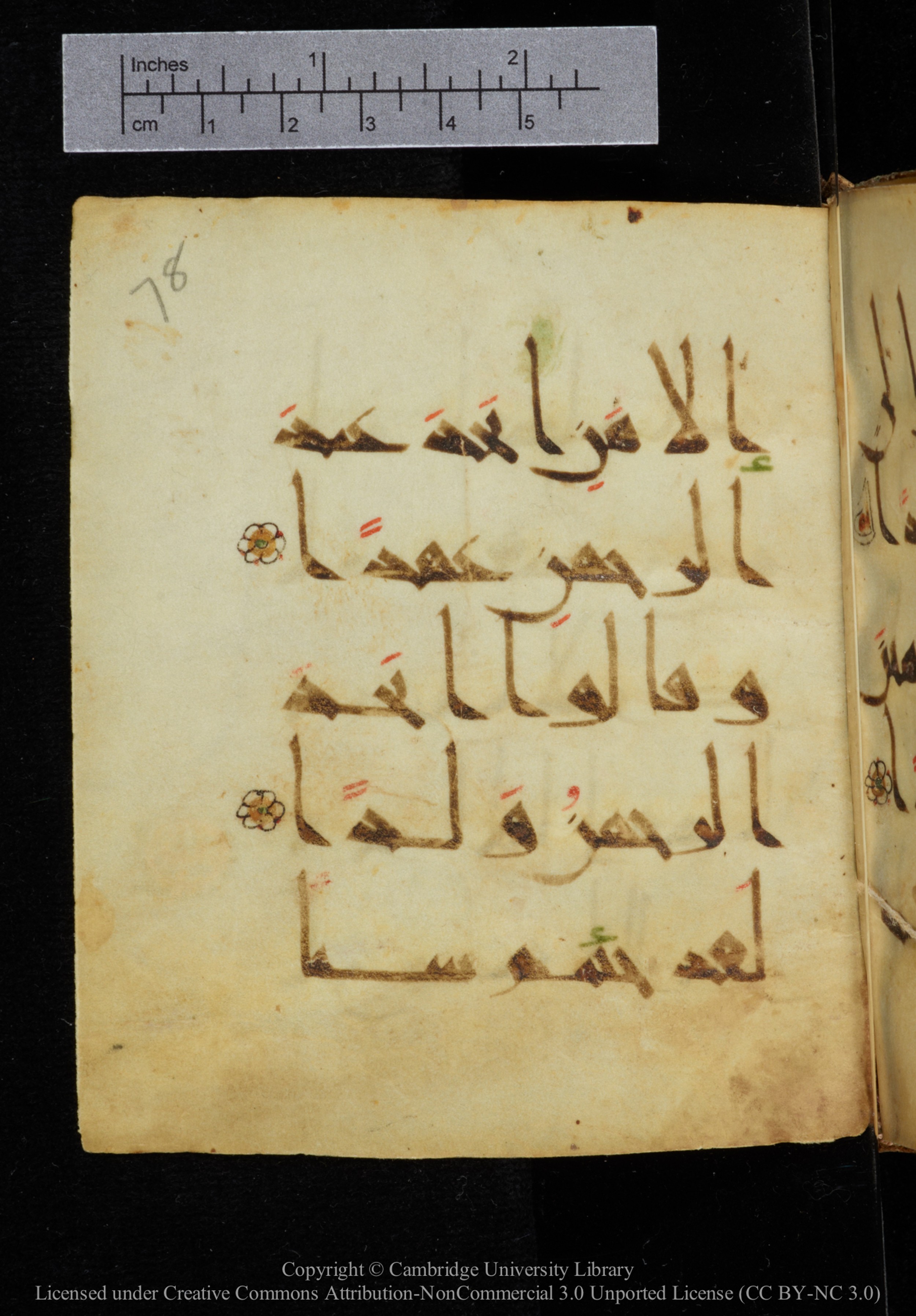 Cambridge, Cambridge University Library, MS Add.2964 (Scan 1), in New Style I script, showing Surah 19:89 from 10th to 11th Century AD found in Unknown, currently housed at Cambridge University Library, Cambridge