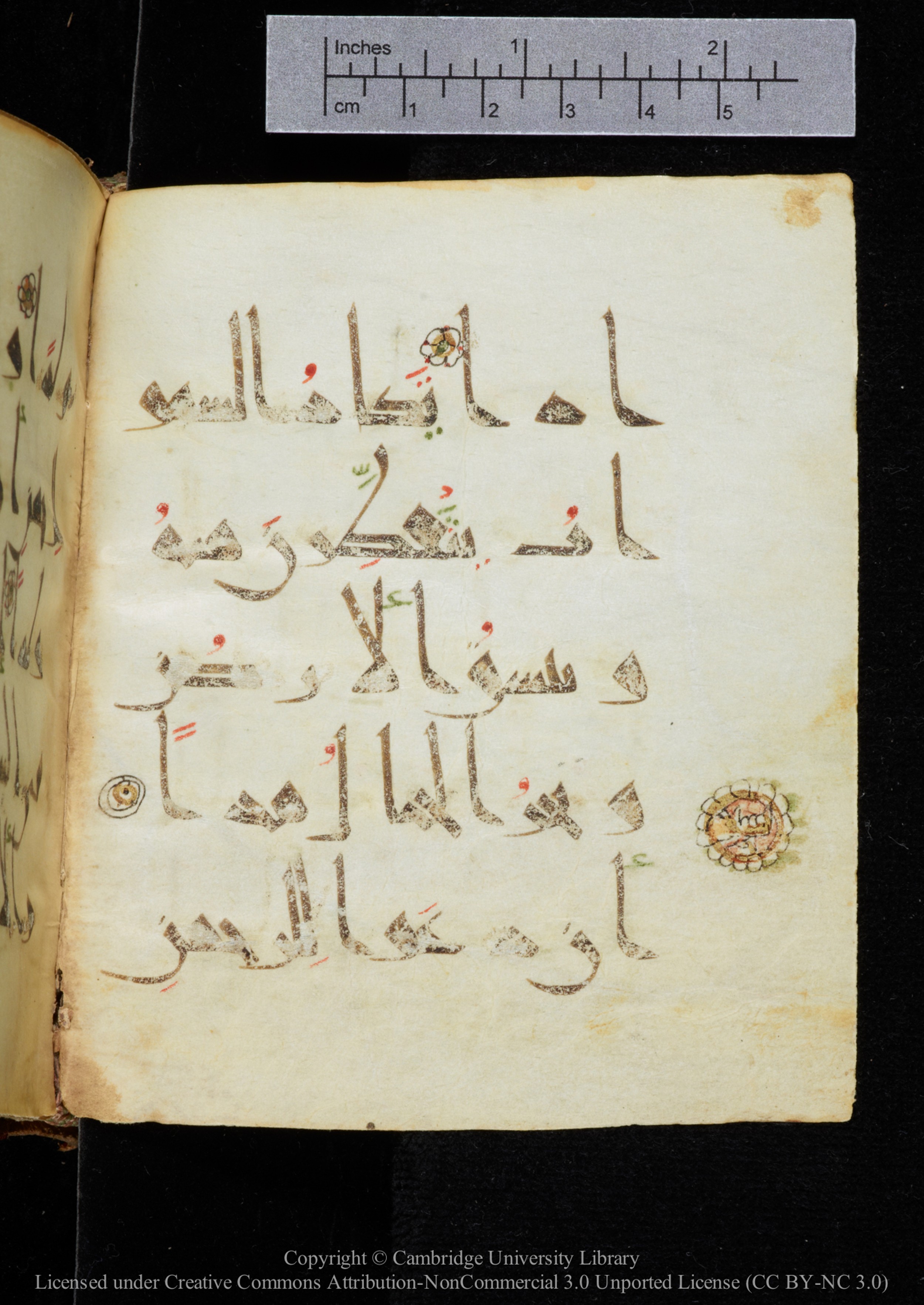 Cambridge, Cambridge University Library, MS Add.2964 (Scan 2), in New Style I script, showing Surah 19:89 from 10th to 11th Century AD found in Unknown, currently housed at Cambridge University Library, Cambridge