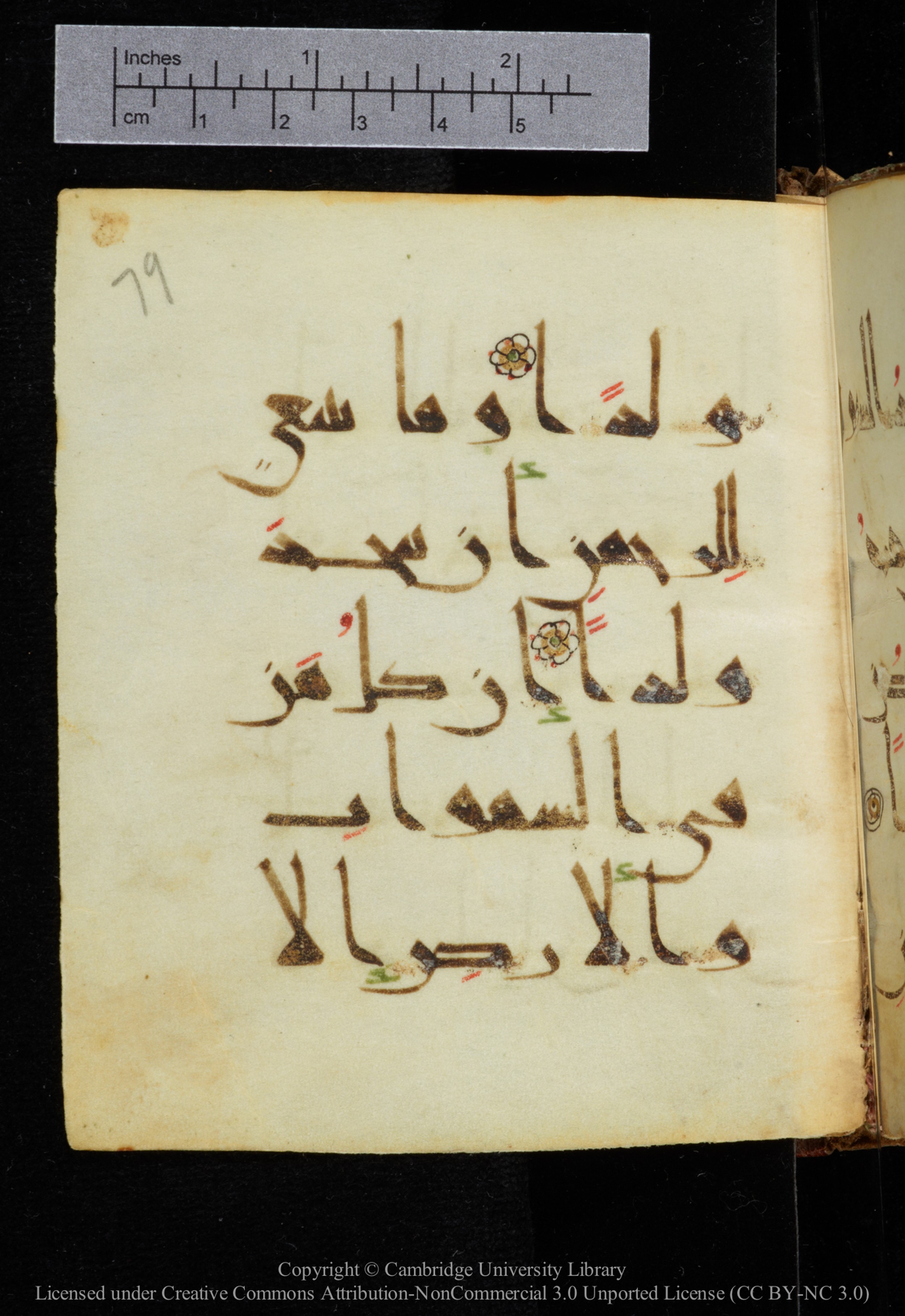 Cambridge, Cambridge University Library, MS Add.2964, in New Style I script, showing Surah 19:92 from 10th to 11th Century AD found in Unknown, currently housed at Cambridge University Library, Cambridge
