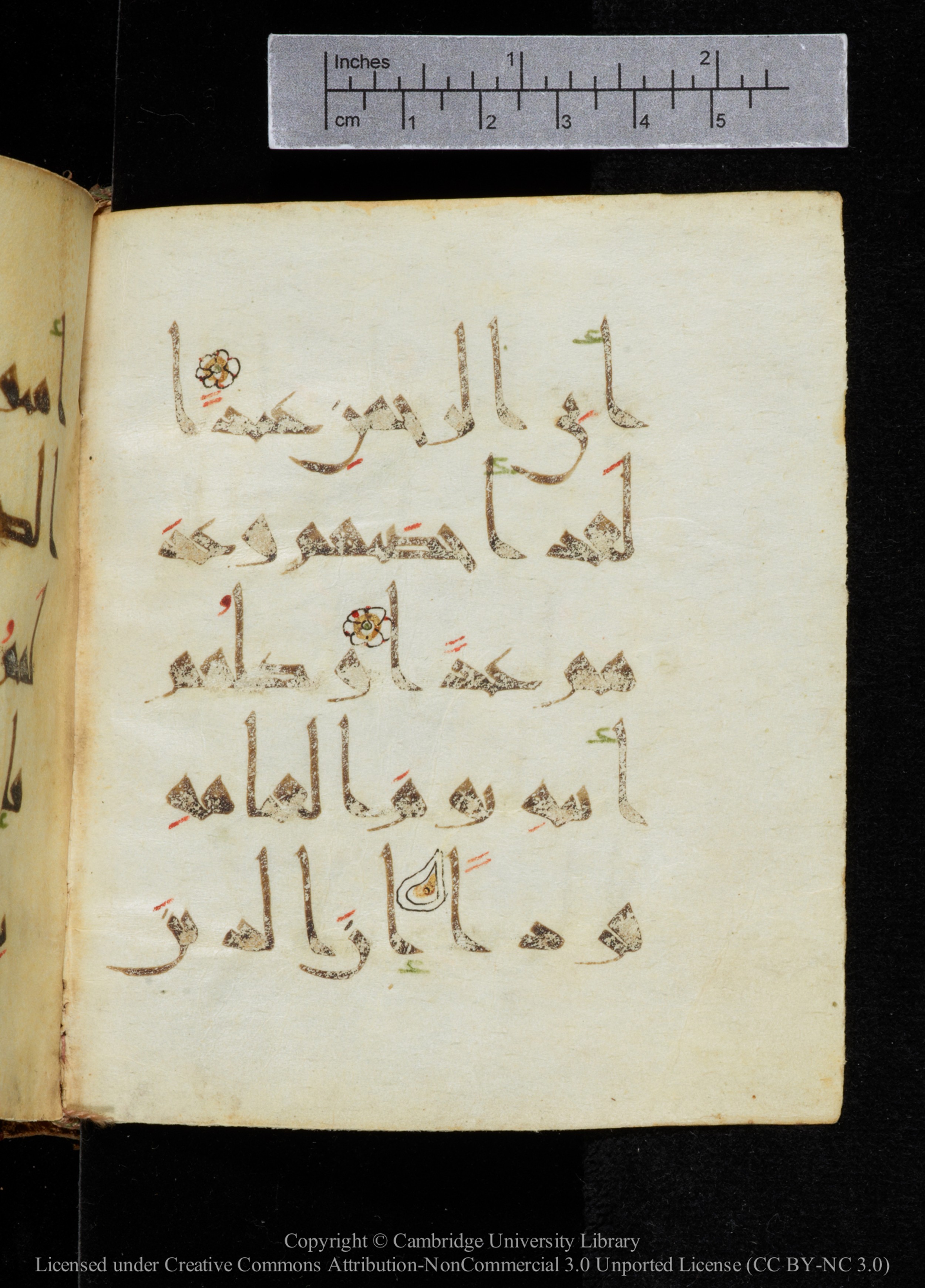 Cambridge, Cambridge University Library, MS Add.2964, in New Style I script, showing Surah 19:95 from 10th to 11th Century AD found in Unknown, currently housed at Cambridge University Library, Cambridge