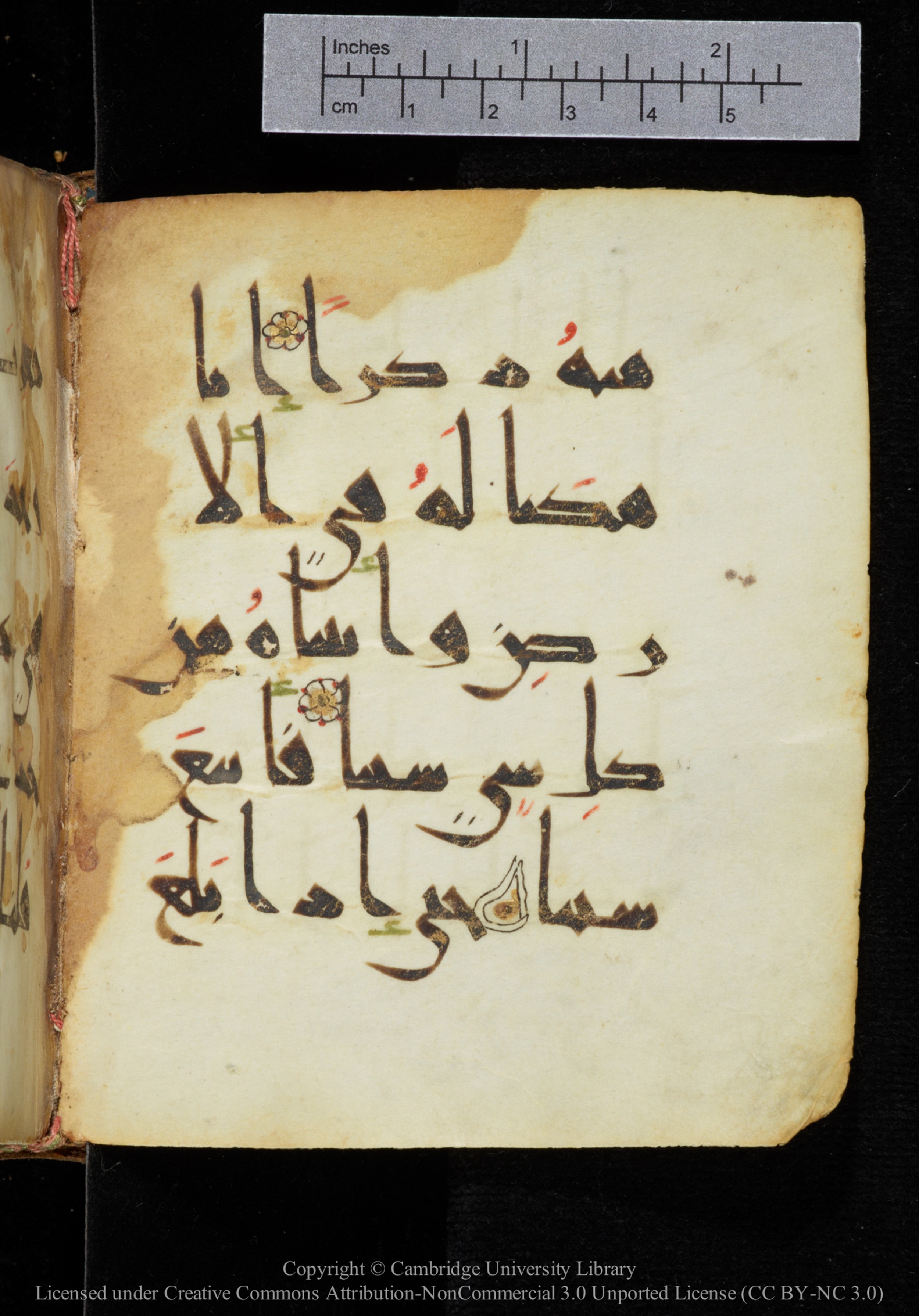 Cambridge, Cambridge University Library, MS Add.2964, in New Style I script, showing Surah 18:83 from 10th to 11th Century AD found in Unknown, currently housed at Cambridge University Library, Cambridge