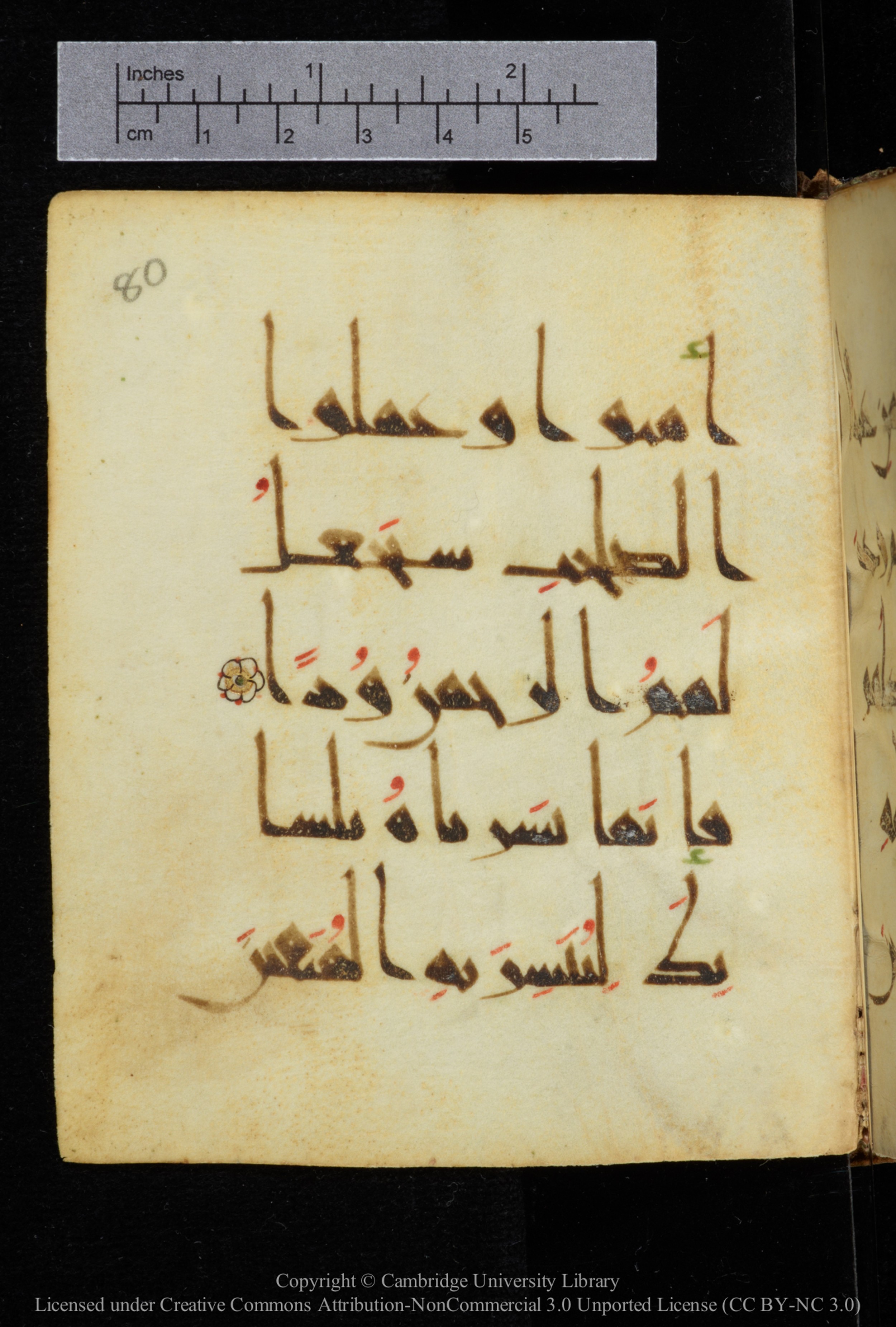 Cambridge, Cambridge University Library, MS Add.2964 (Scan 1), in New Style I script, showing Surah 19:97 from 10th to 11th Century AD found in Unknown, currently housed at Cambridge University Library, Cambridge