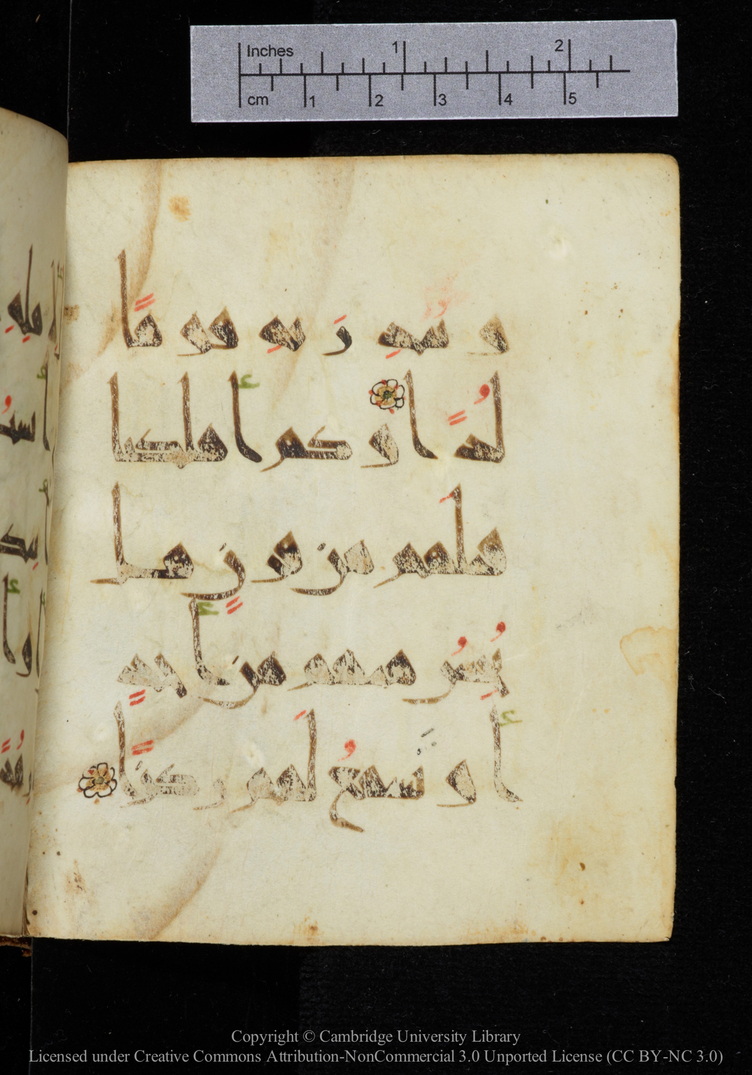 Cambridge, Cambridge University Library, MS Add.2964 (Scan 2), in New Style I script, showing Surah 19:97 from 10th to 11th Century AD found in Unknown, currently housed at Cambridge University Library, Cambridge