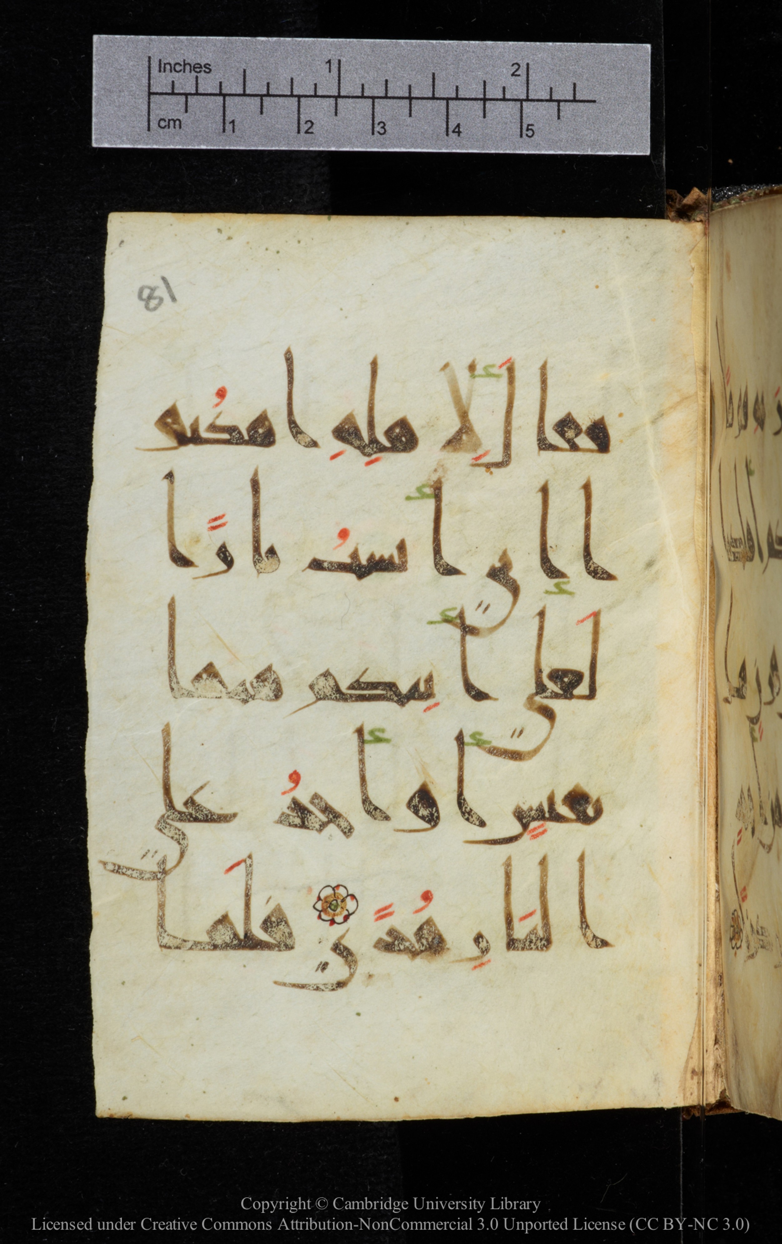 Cambridge, Cambridge University Library, MS Add.2964, in New Style I script, showing Surah 20:10 from 10th to 11th Century AD found in Unknown, currently housed at Cambridge University Library, Cambridge