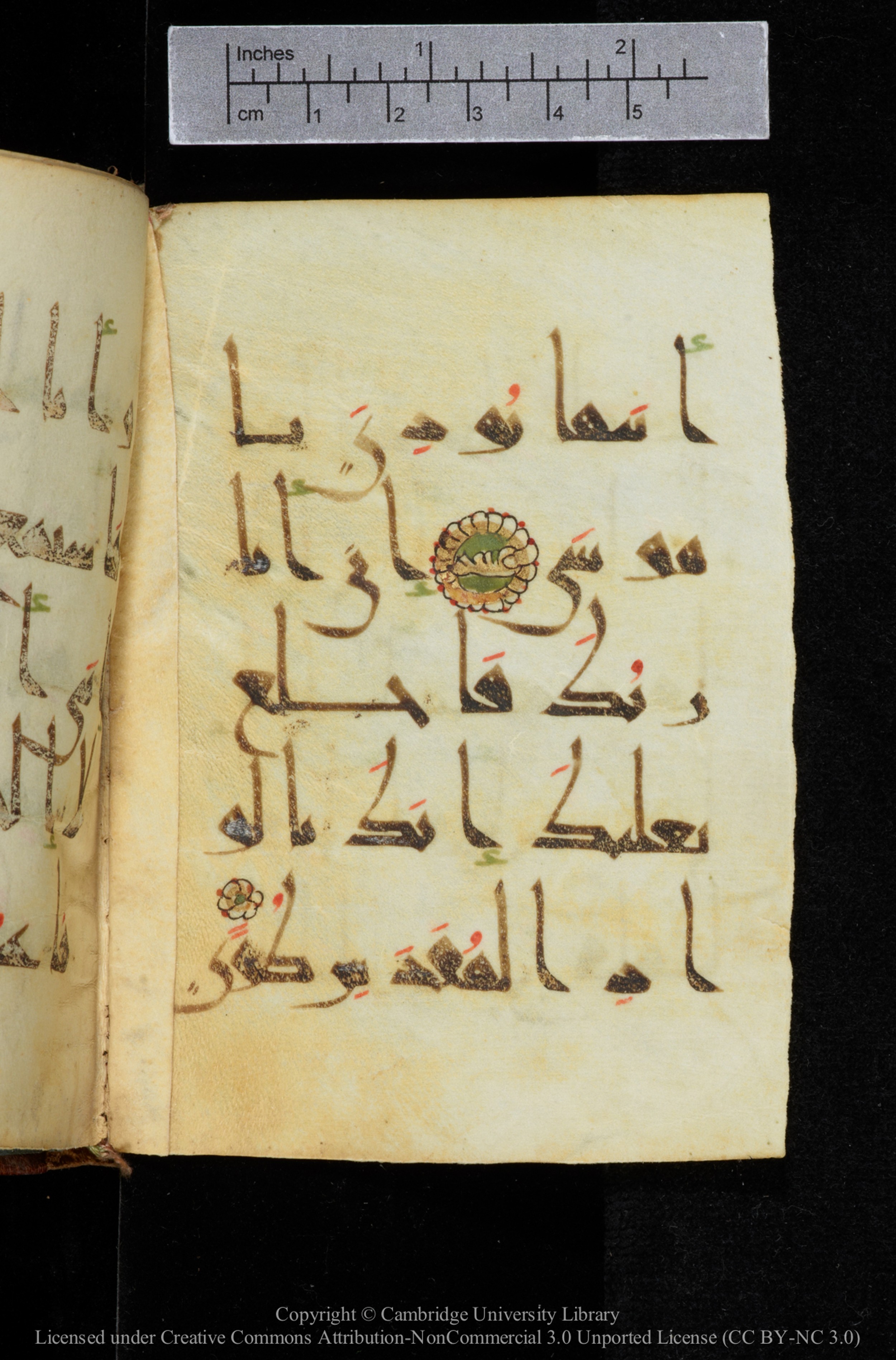 Cambridge, Cambridge University Library, MS Add.2964, in New Style I script, showing Surah 20:12 from 10th to 11th Century AD found in Unknown, currently housed at Cambridge University Library, Cambridge