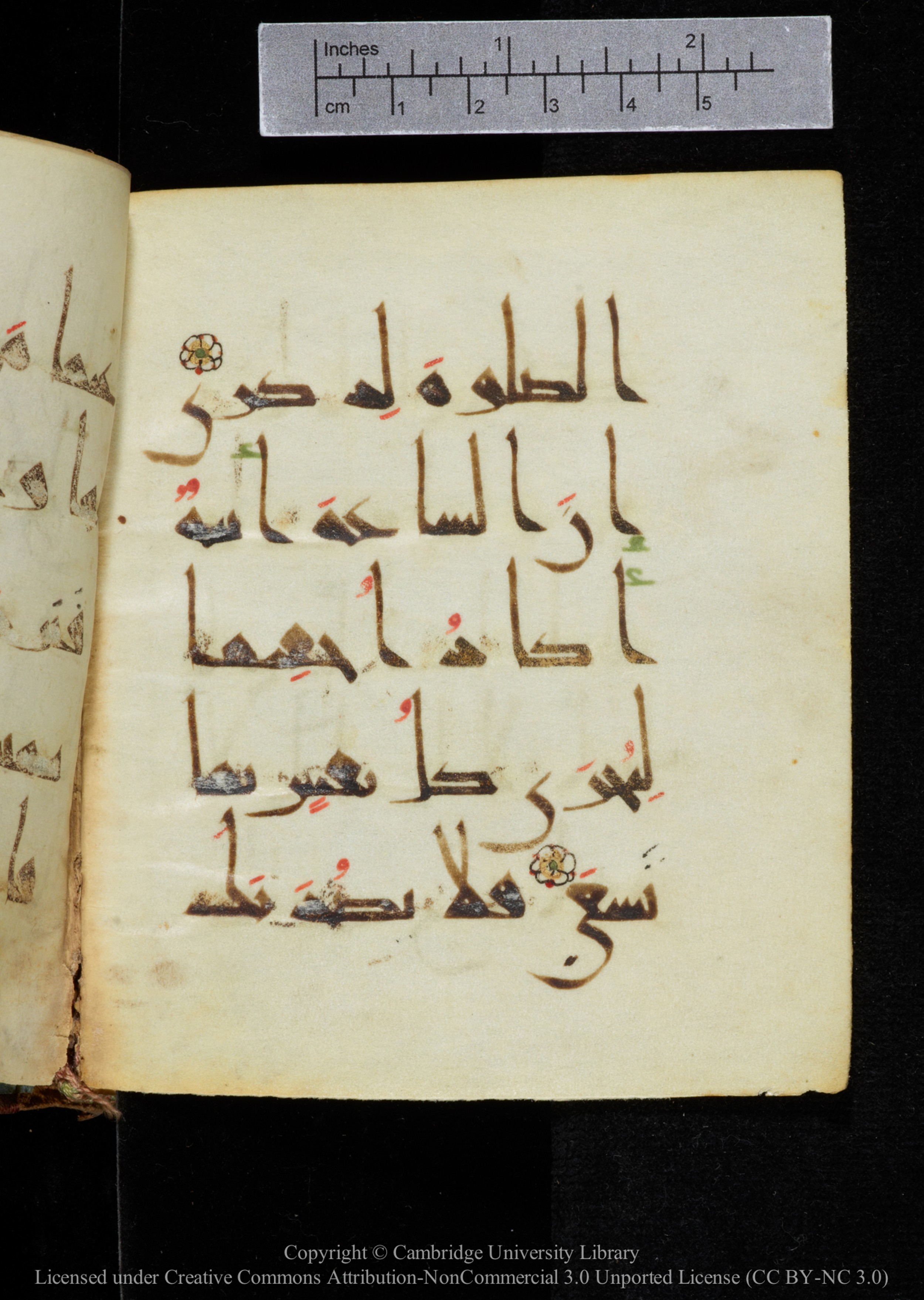 Cambridge, Cambridge University Library, MS Add.2964 (Scan 2), in New Style I script, showing Surah 20:14 from 10th to 11th Century AD found in Unknown, currently housed at Cambridge University Library, Cambridge