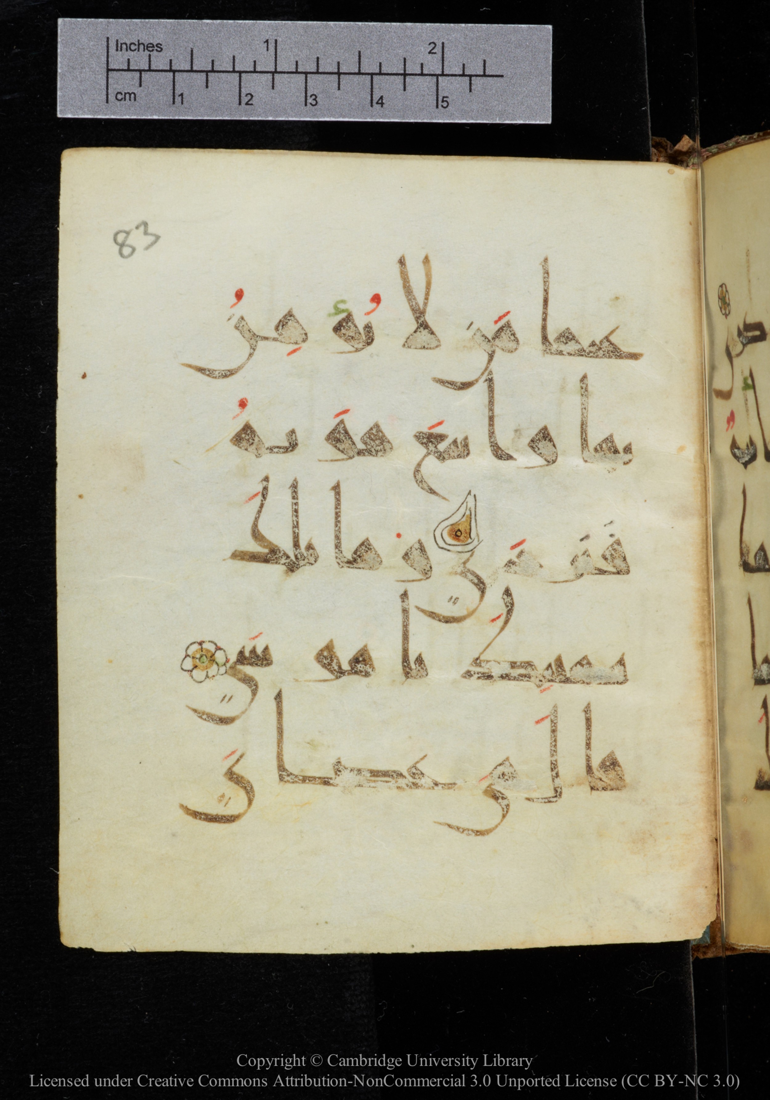 Cambridge, Cambridge University Library, MS Add.2964 (Scan 1), in New Style I script, showing Surah 20:18 from 10th to 11th Century AD found in Unknown, currently housed at Cambridge University Library, Cambridge