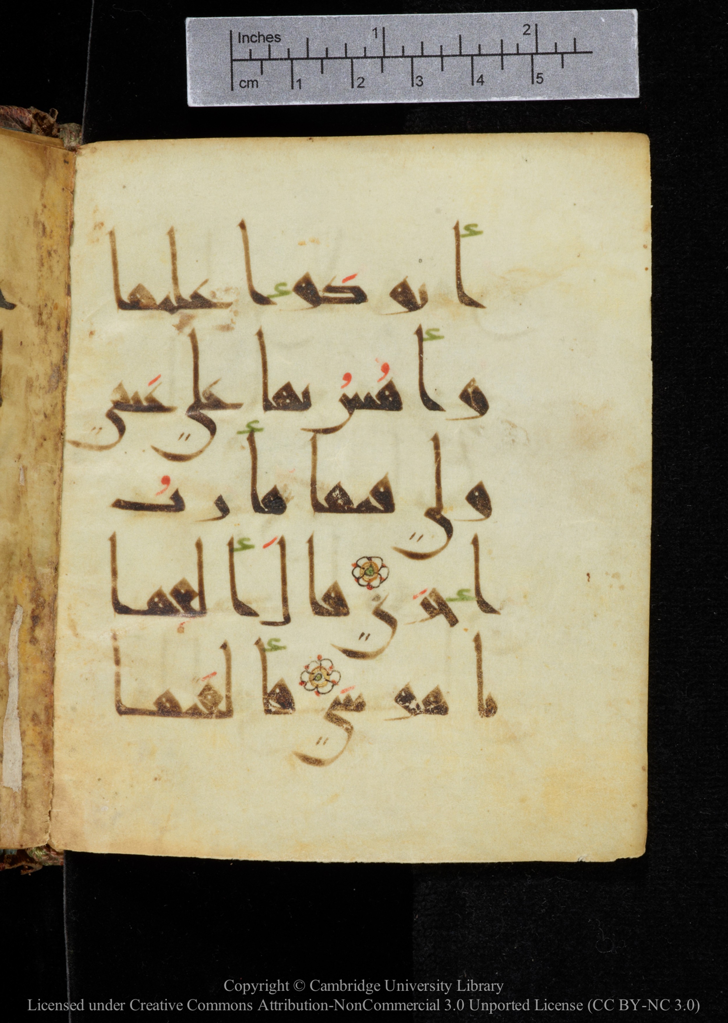 Cambridge, Cambridge University Library, MS Add.2964 (Scan 2), in New Style I script, showing Surah 20:18 from 10th to 11th Century AD found in Unknown, currently housed at Cambridge University Library, Cambridge