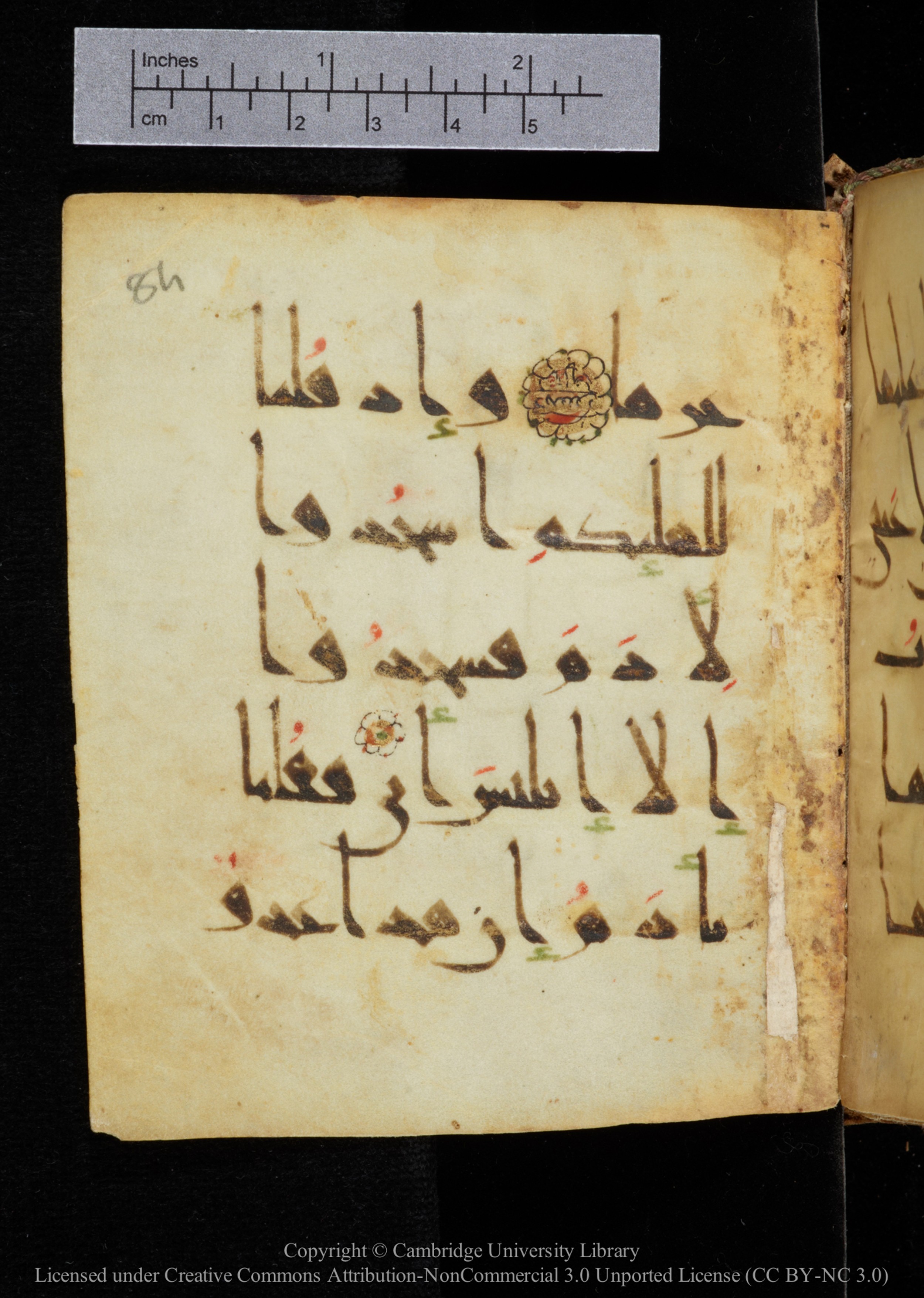 Cambridge, Cambridge University Library, MS Add.2964, in New Style I script, showing Surah 20:116 from 10th to 11th Century AD found in Unknown, currently housed at Cambridge University Library, Cambridge