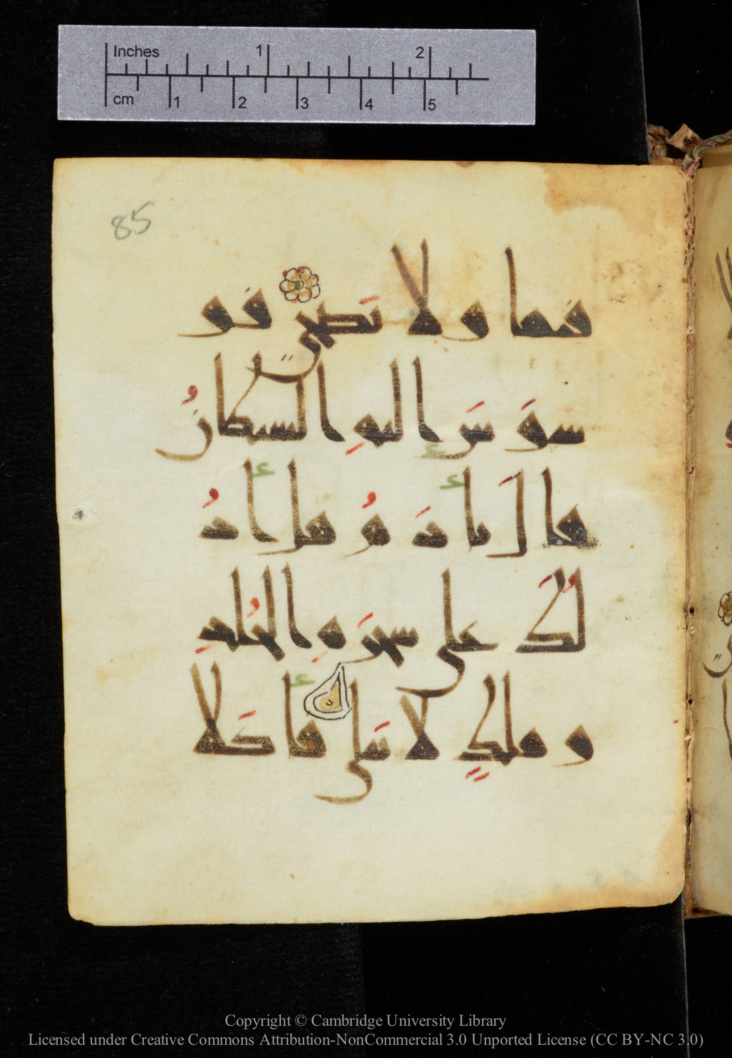 Cambridge, Cambridge University Library, MS Add.2964 (Scan 1), in New Style I script, showing Surah 20:121 from 10th to 11th Century AD found in Unknown, currently housed at Cambridge University Library, Cambridge