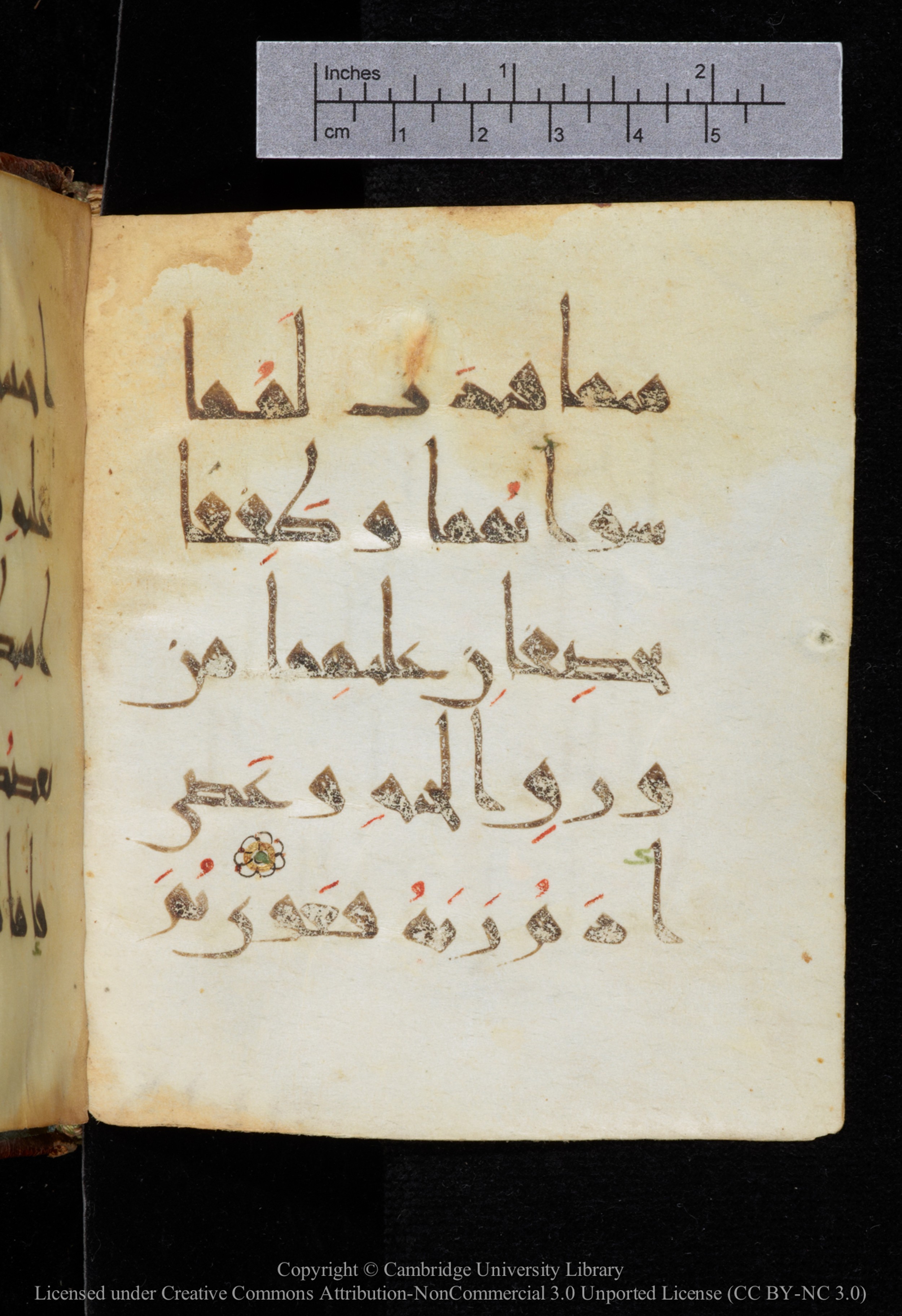 Cambridge, Cambridge University Library, MS Add.2964 (Scan 2), in New Style I script, showing Surah 20:121 from 10th to 11th Century AD found in Unknown, currently housed at Cambridge University Library, Cambridge