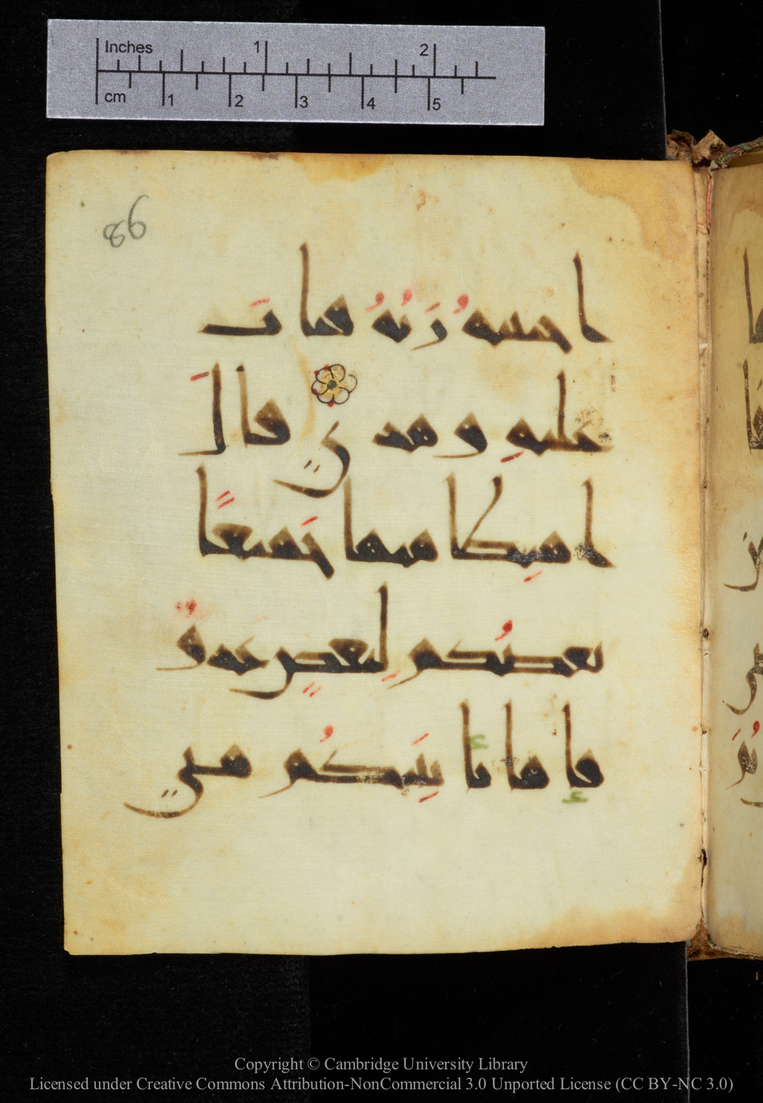 Cambridge, Cambridge University Library, MS Add.2964 (Scan 2), in New Style I script, showing Surah 20:122 from 10th to 11th Century AD found in Unknown, currently housed at Cambridge University Library, Cambridge
