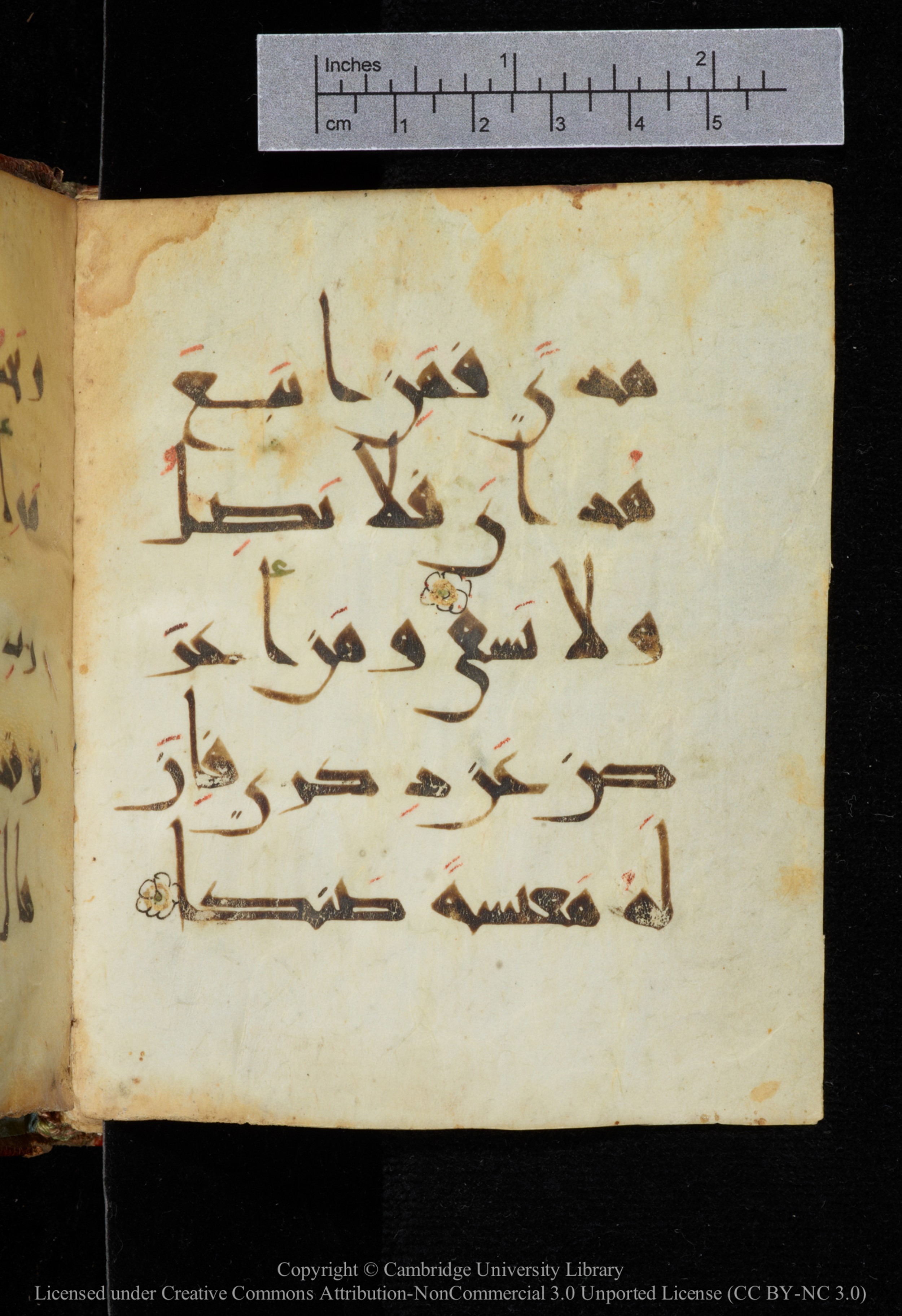 Cambridge, Cambridge University Library, MS Add.2964 (Scan 1), in New Style I script, showing Surah 20:124 from 10th to 11th Century AD found in Unknown, currently housed at Cambridge University Library, Cambridge