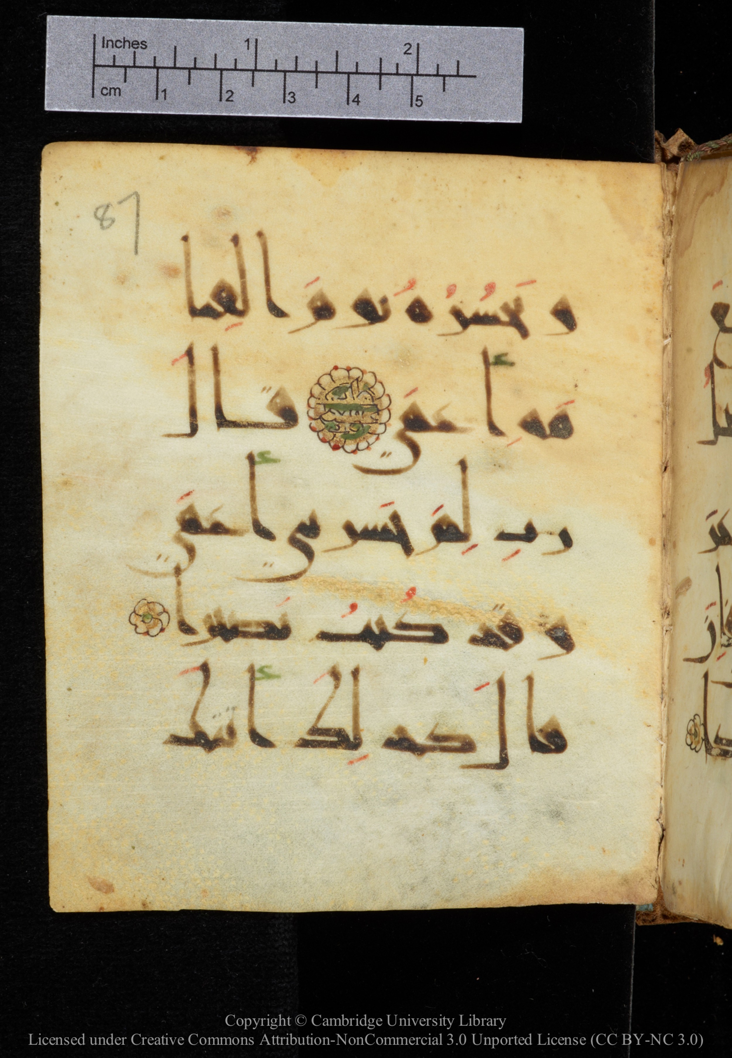 Cambridge, Cambridge University Library, MS Add.2964, in New Style I script, showing Surah 20:125 from 10th to 11th Century AD found in Unknown, currently housed at Cambridge University Library, Cambridge