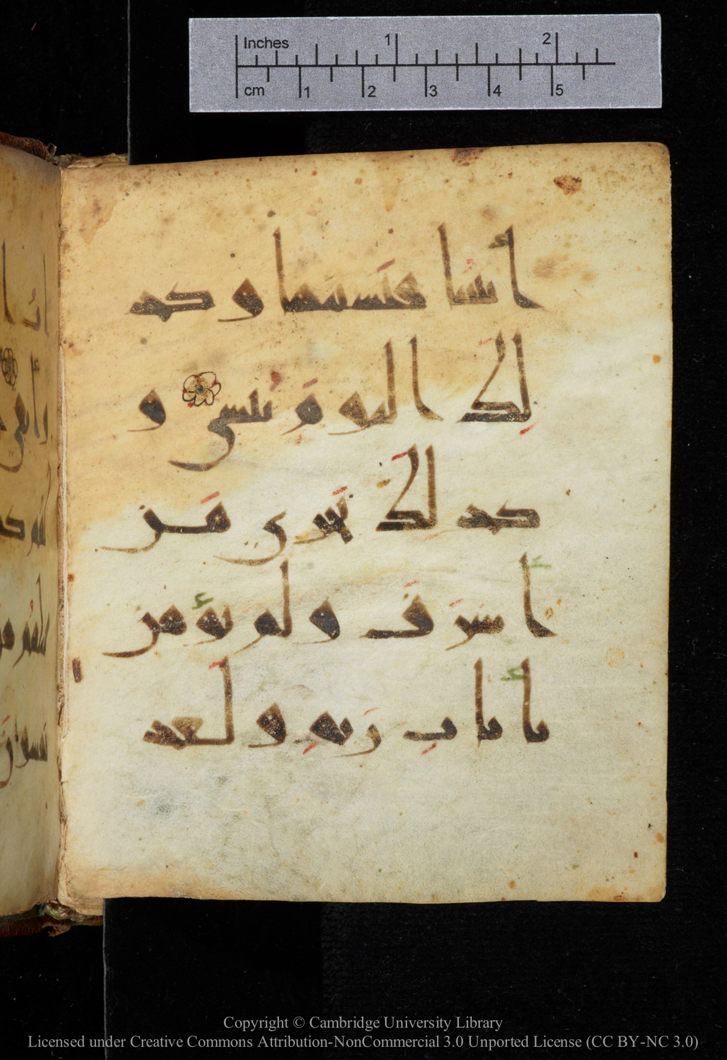 Cambridge, Cambridge University Library, MS Add.2964 (Scan 2), in New Style I script, showing Surah 20:126 from 10th to 11th Century AD found in Unknown, currently housed at Cambridge University Library, Cambridge