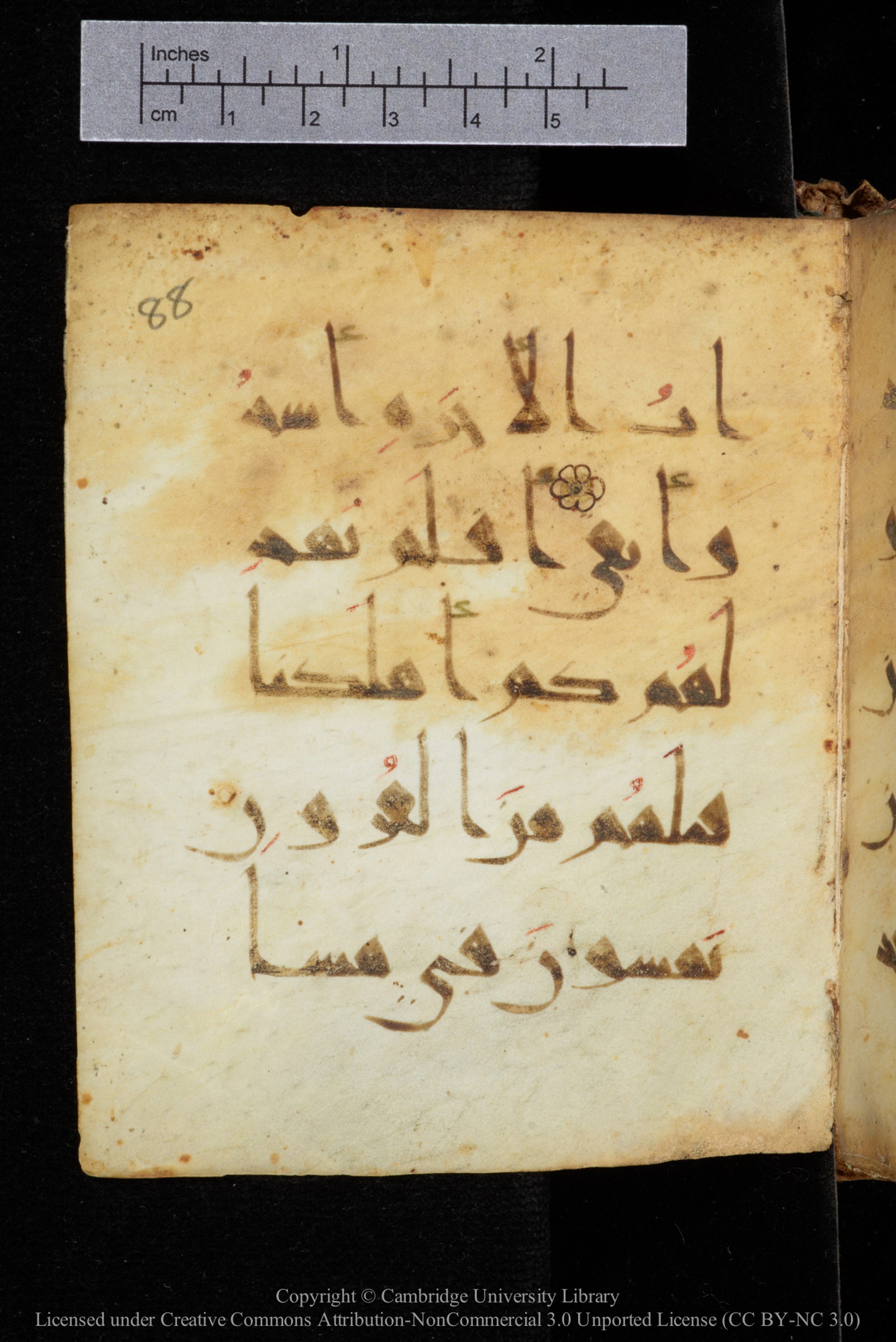 Cambridge, Cambridge University Library, MS Add.2964 (Scan 1), in New Style I script, showing Surah 20:128 from 10th to 11th Century AD found in Unknown, currently housed at Cambridge University Library, Cambridge