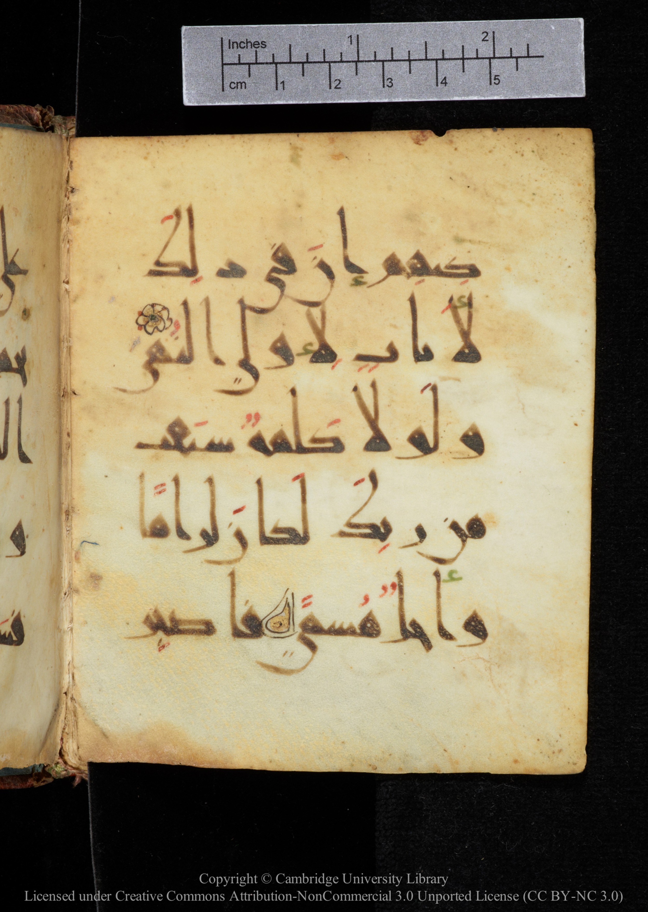 Cambridge, Cambridge University Library, MS Add.2964, in New Style I script, showing Surah 20:129 from 10th to 11th Century AD found in Unknown, currently housed at Cambridge University Library, Cambridge