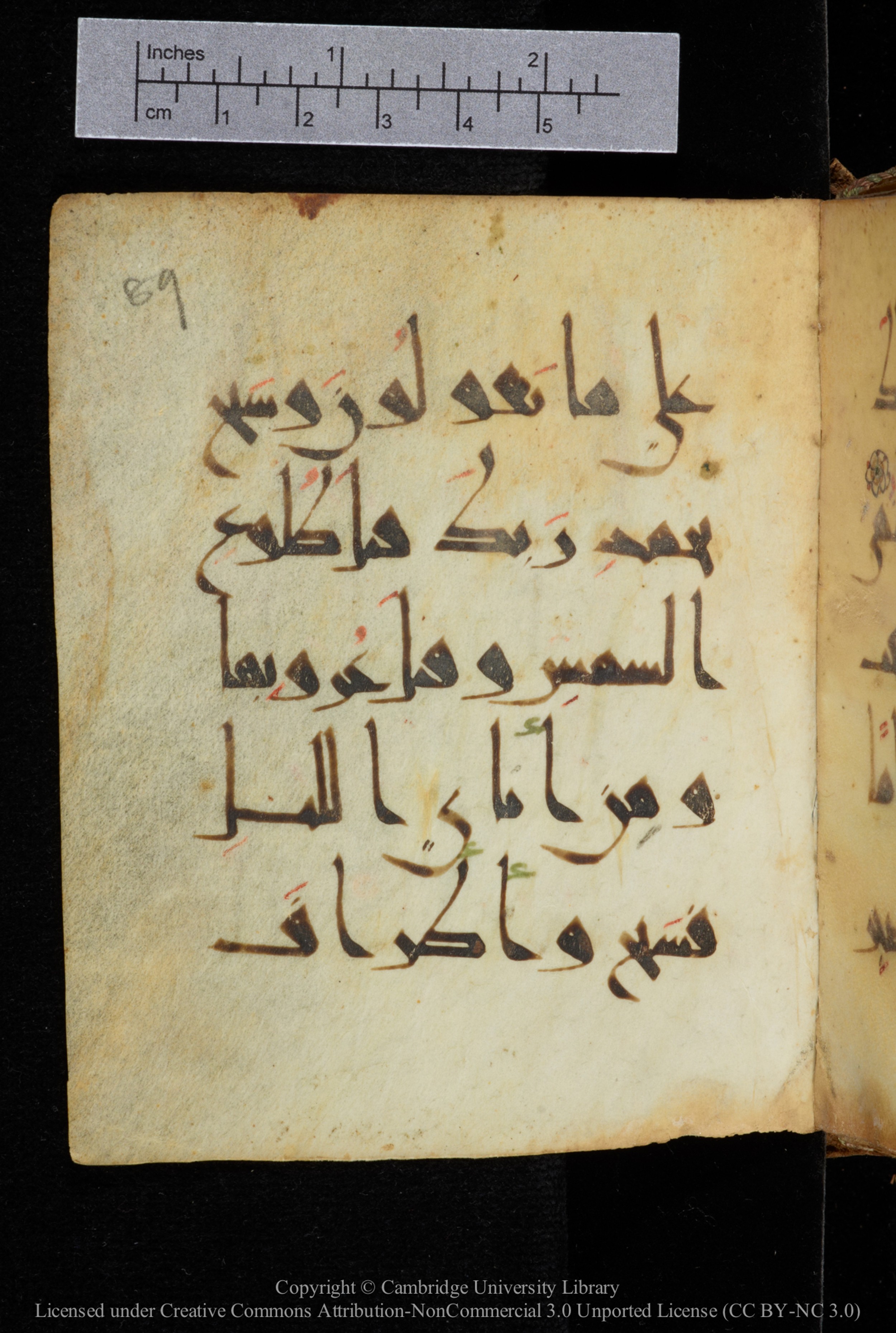 Cambridge, Cambridge University Library, MS Add.2964 (Scan 2), in New Style I script, showing Surah 20:130 from 10th to 11th Century AD found in Unknown, currently housed at Cambridge University Library, Cambridge