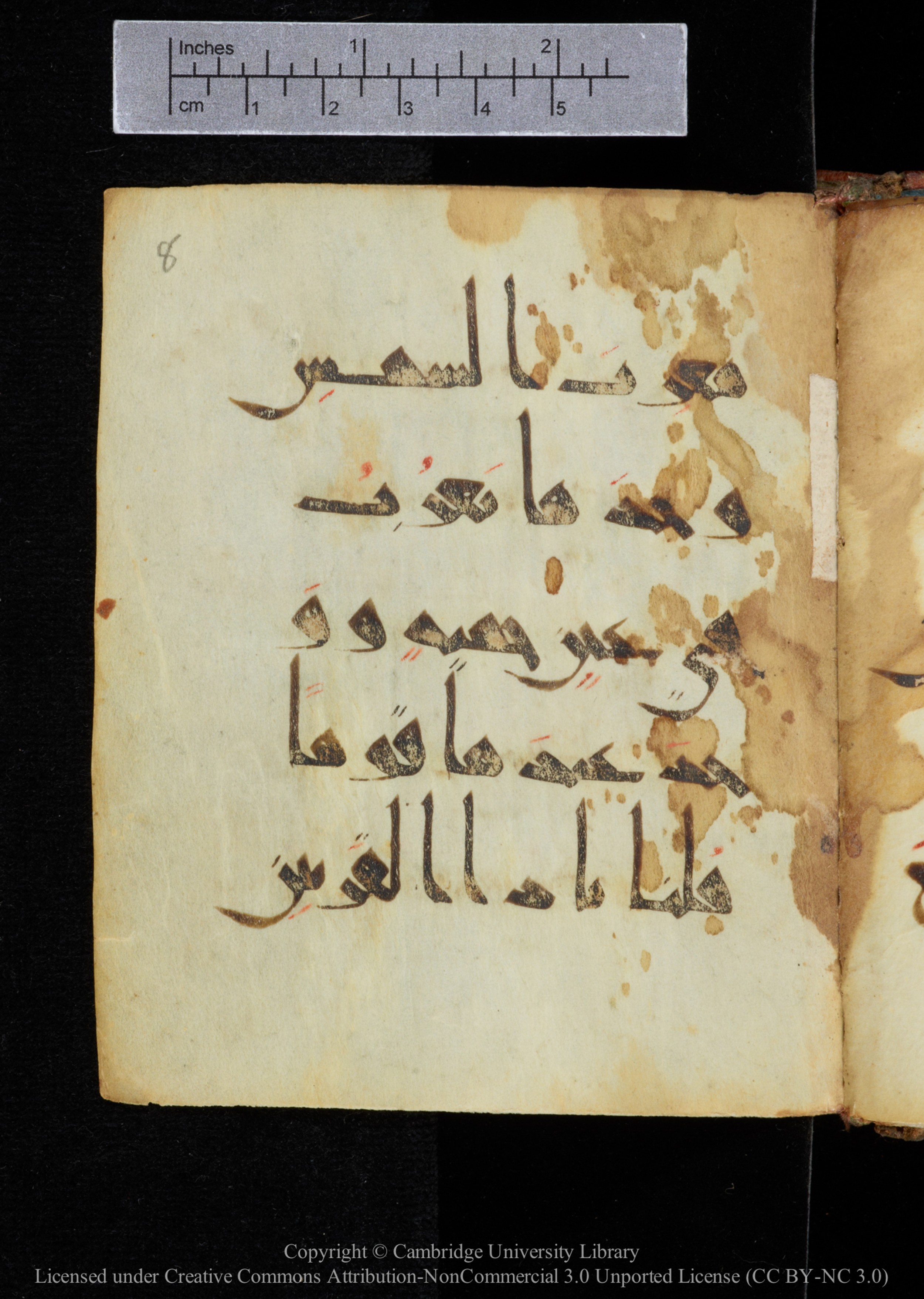 Cambridge, Cambridge University Library, MS Add.2964 (Scan 1), in New Style I script, showing Surah 18:86 from 10th to 11th Century AD found in Unknown, currently housed at Cambridge University Library, Cambridge