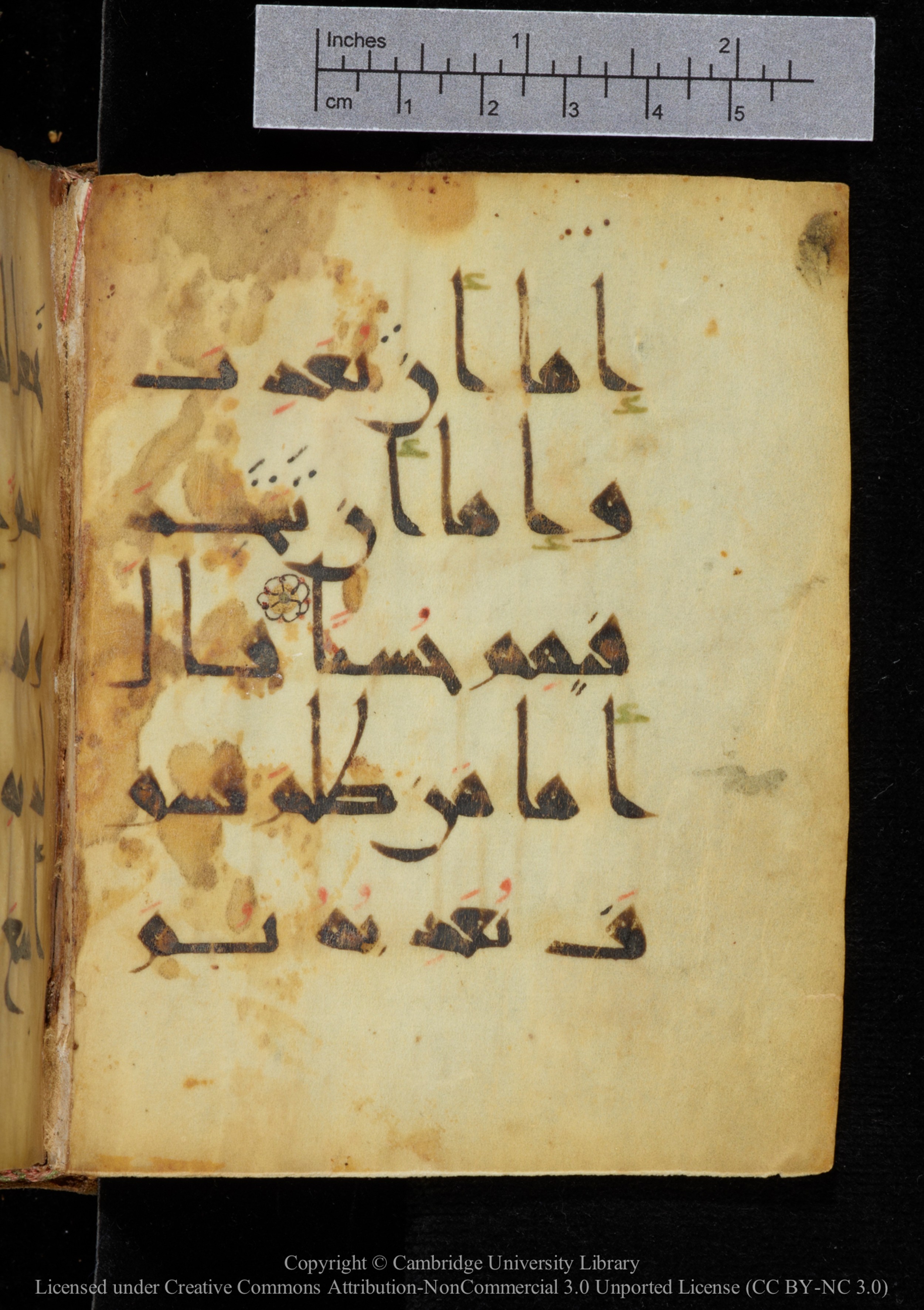 Cambridge, Cambridge University Library, MS Add.2964, in New Style I script, showing Surah 18:87 from 10th to 11th Century AD found in Unknown, currently housed at Cambridge University Library, Cambridge