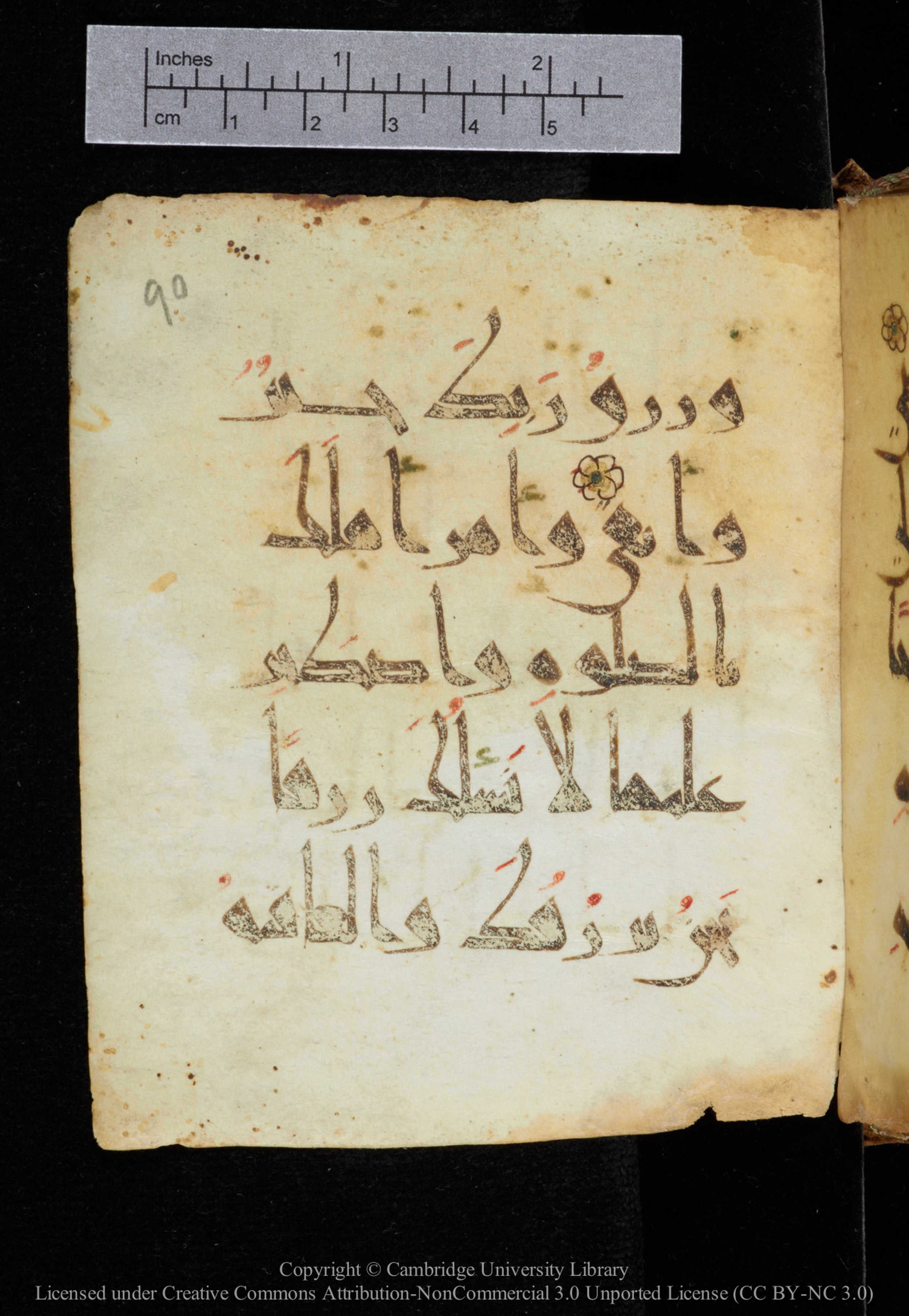 Cambridge, Cambridge University Library, MS Add.2964 (Scan 2), in New Style I script, showing Surah 20:131 from 10th to 11th Century AD found in Unknown, currently housed at Cambridge University Library, Cambridge
