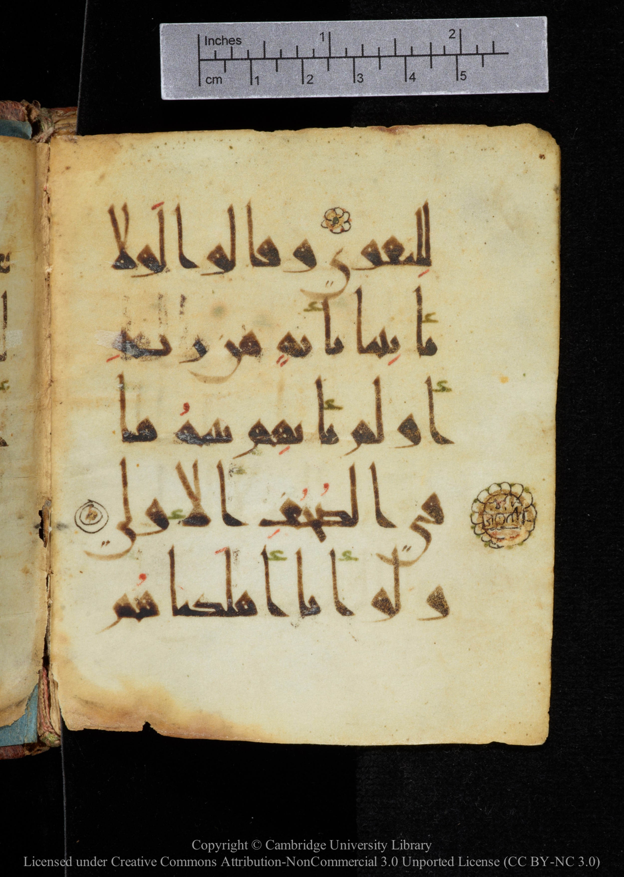 Cambridge, Cambridge University Library, MS Add.2964, in New Style I script, showing Surah 20:133 from 10th to 11th Century AD found in Unknown, currently housed at Cambridge University Library, Cambridge