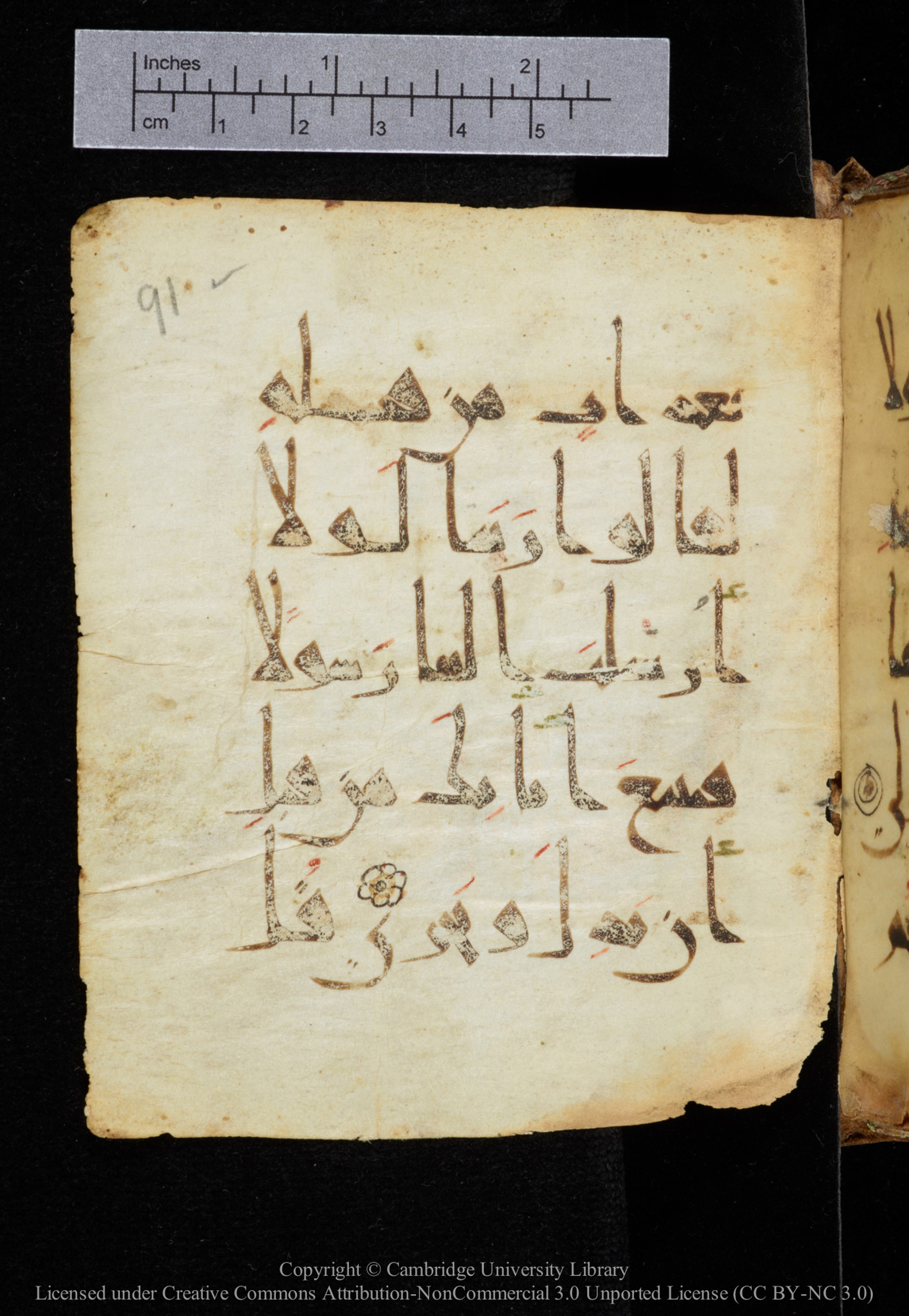 Cambridge, Cambridge University Library, MS Add.2964 (Scan 2), in New Style I script, showing Surah 20:134 from 10th to 11th Century AD found in Unknown, currently housed at Cambridge University Library, Cambridge