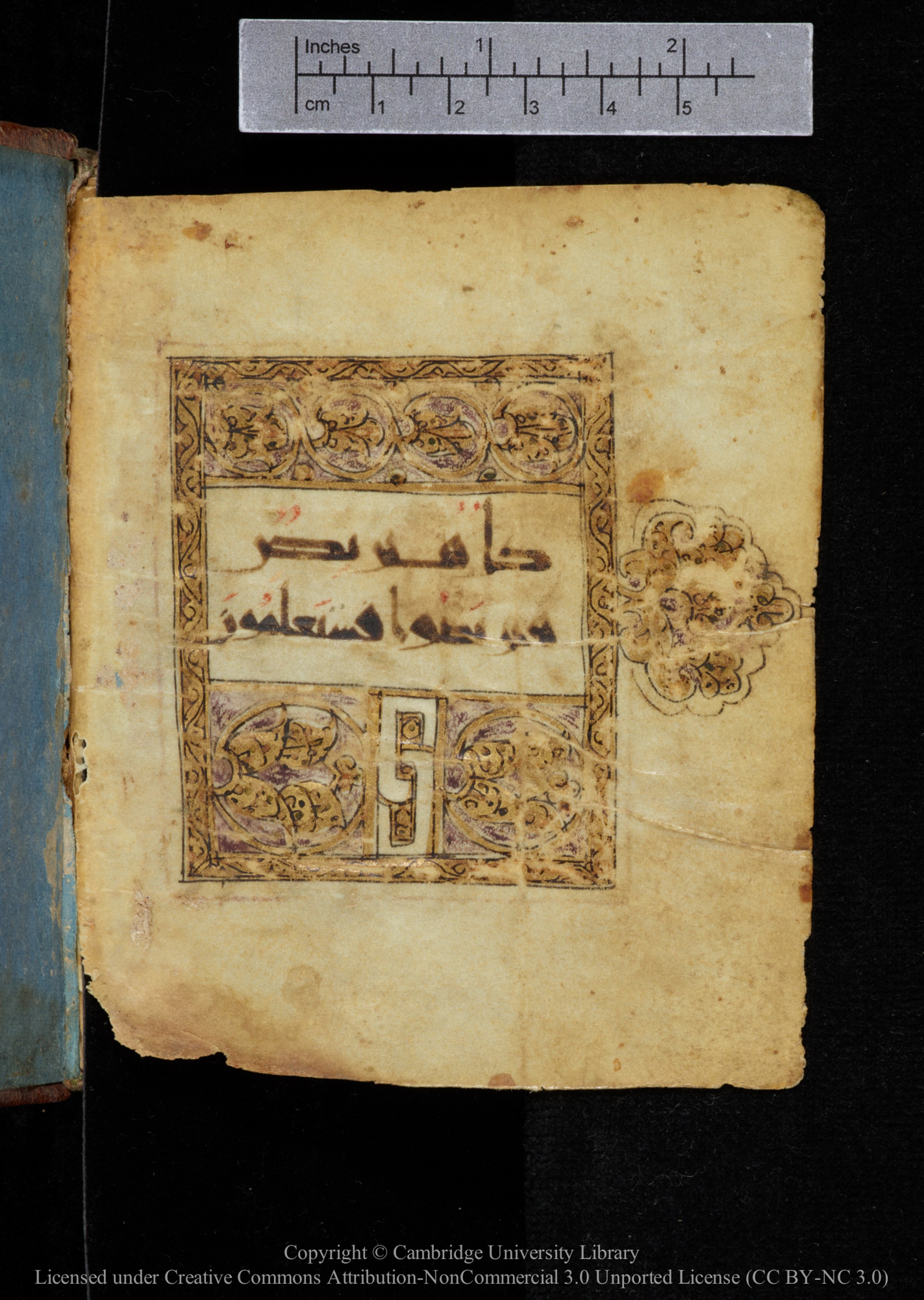 Cambridge, Cambridge University Library, MS Add.2964 (Scan 2), in New Style I script, showing Surah 20:135 from 10th to 11th Century AD found in Unknown, currently housed at Cambridge University Library, Cambridge