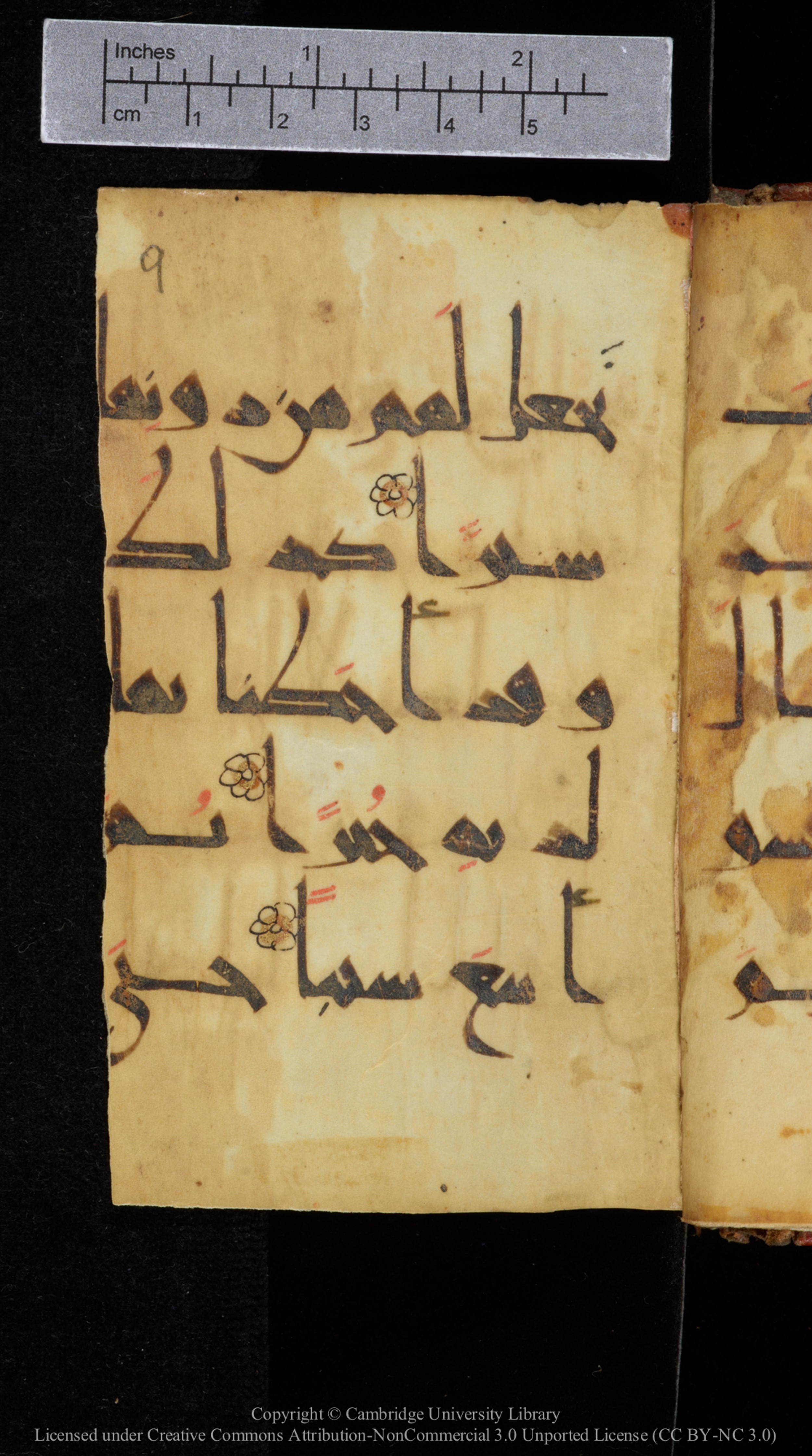 Cambridge, Cambridge University Library, MS Add.2964, in New Style I script, showing Surah 18:92 from 10th to 11th Century AD found in Unknown, currently housed at Cambridge University Library, Cambridge