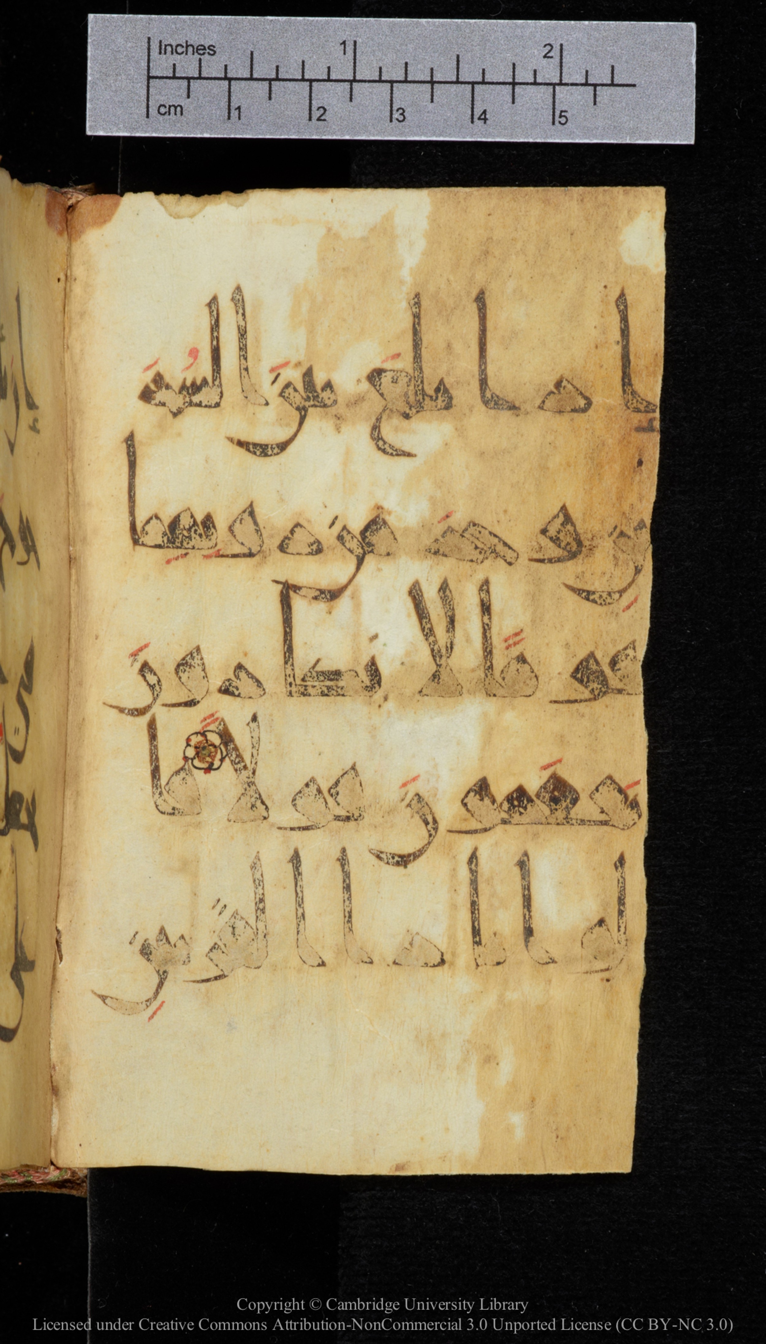 Cambridge, Cambridge University Library, MS Add.2964 (Scan 3), in New Style I script, showing Surah 18:94 from 10th to 11th Century AD found in Unknown, currently housed at Cambridge University Library, Cambridge