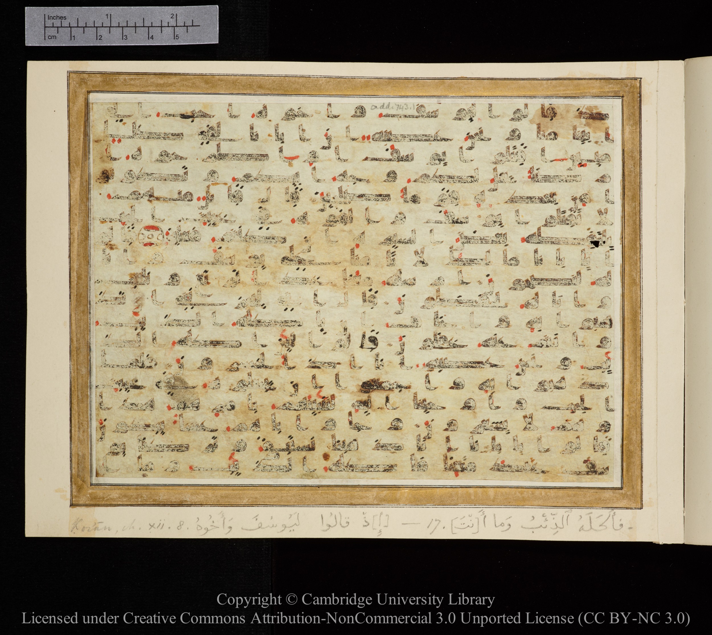 Cambridge University Library, MS Add.743.1, in kūfī D IV script, showing Surah 12:13 from 9th or 10th Century AD found in Unknown, currently housed at Cambridge University Library, Cambridge, UK