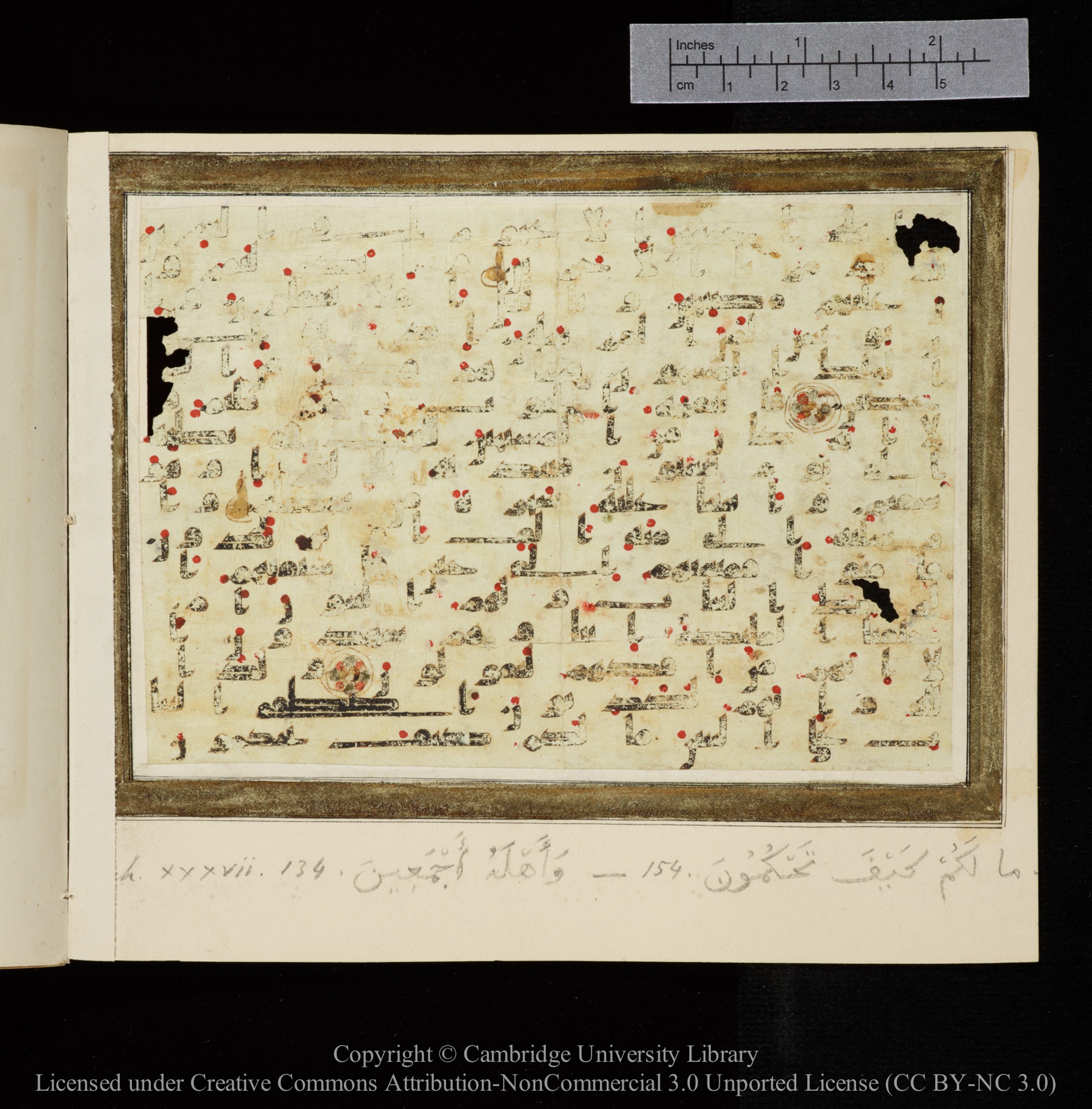 Cambridge MS Add.743.3, in kūfī B II script, showing Surah 37:136 from 9th or 10th Century AD found in Unknown, currently housed at Cambridge University Library, Cambridge, United Kingdom
