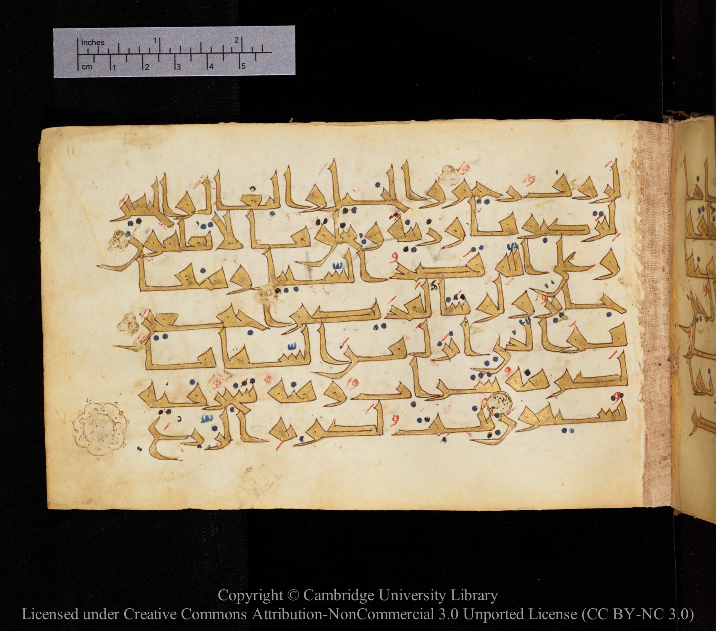 Cambridge MS Or.476, in New Style I script, showing Surah 16:8 from 10th to 11th Century AD found in Unknown, currently housed at Cambridge University Library, Cambridge