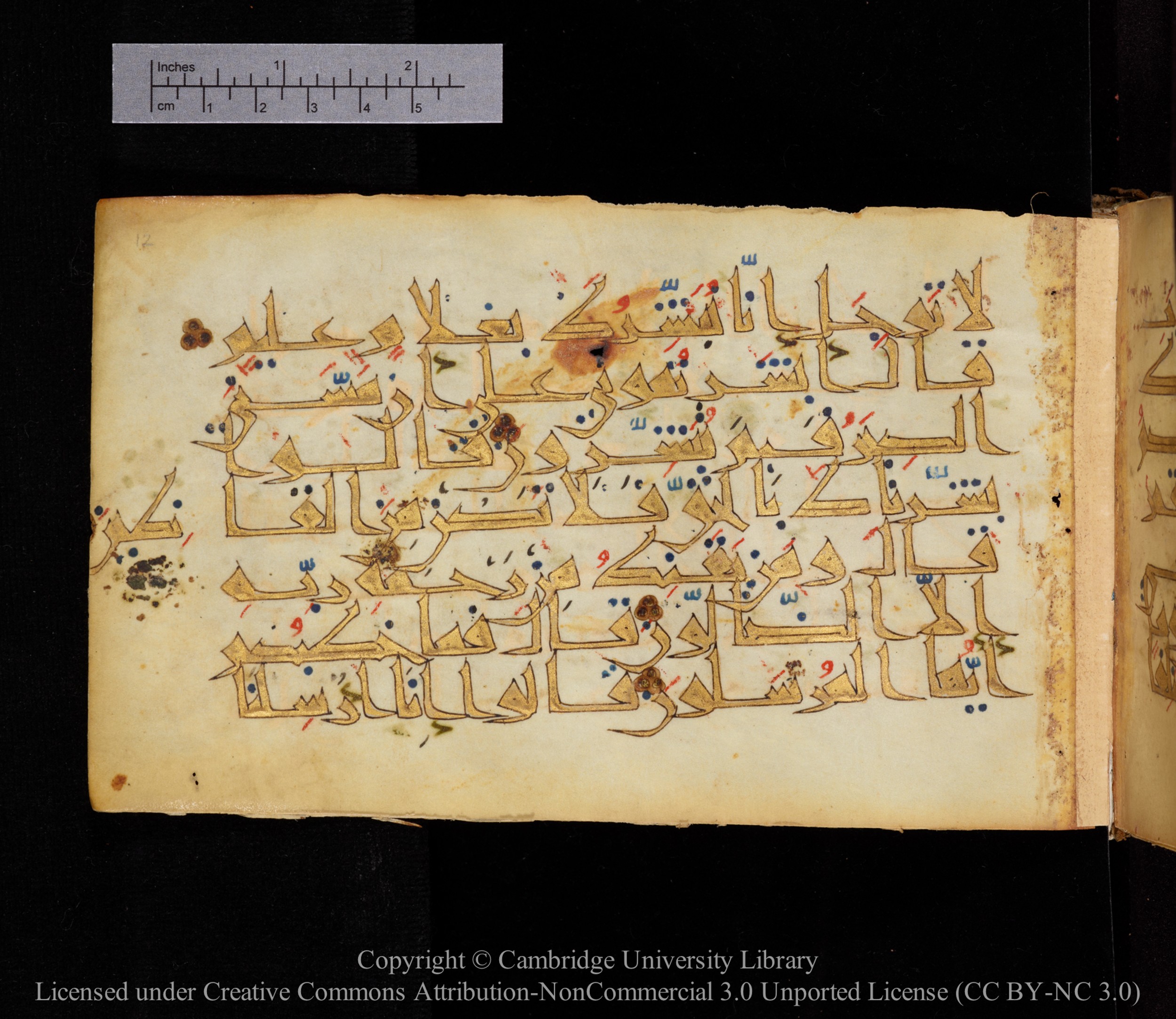 Cambridge MS Or.476 (Scan 1), in New Style I script, showing Surah 15:53 from 10th to 11th Century AD found in Unknown, currently housed at Cambridge University Library, Cambridge