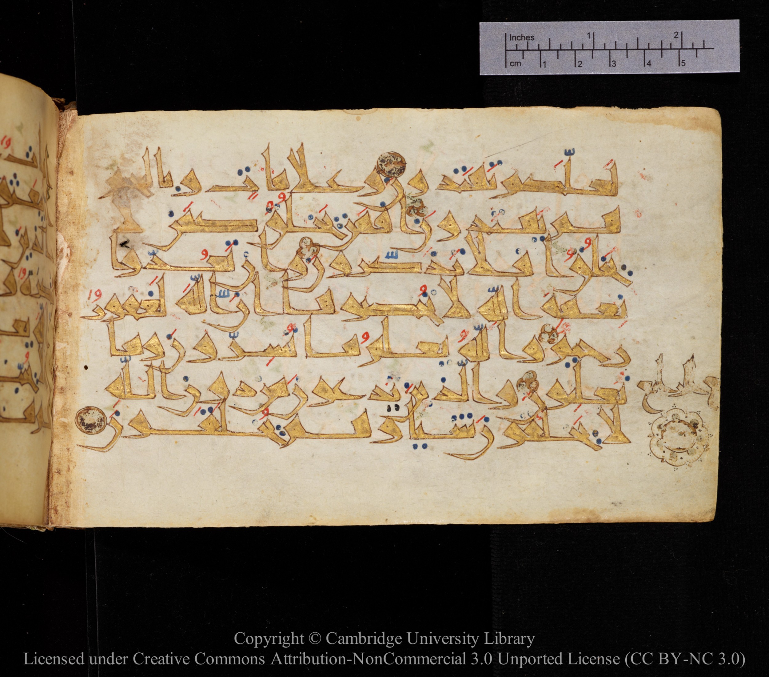 Cambridge MS Or.476, in New Style I script, showing Surah 16:18 from 10th to 11th Century AD found in Unknown, currently housed at Cambridge University Library, Cambridge