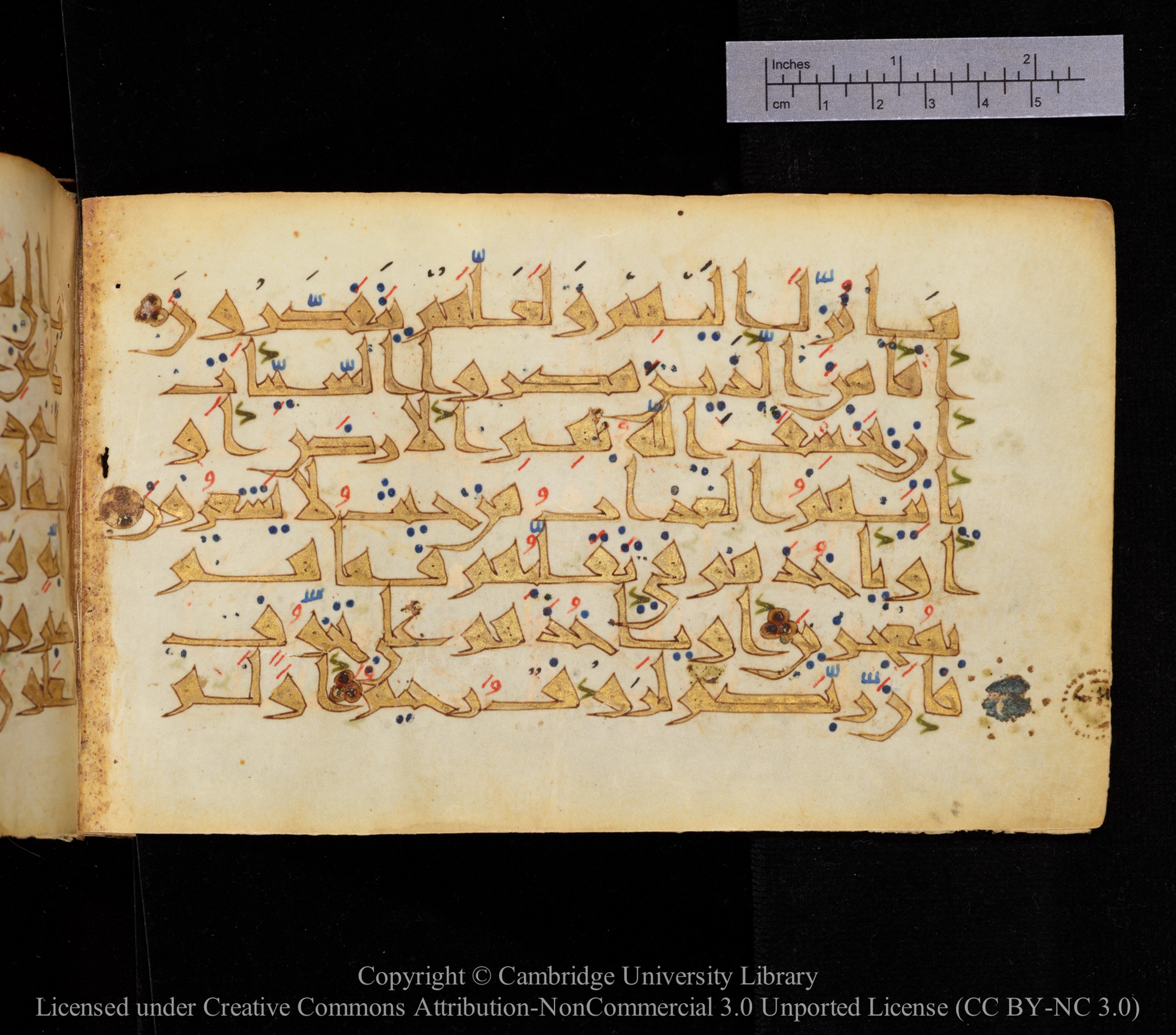Cambridge MS Or.476, in New Style I script, showing Surah 16:46 from 10th to 11th Century AD found in Unknown, currently housed at Cambridge University Library, Cambridge