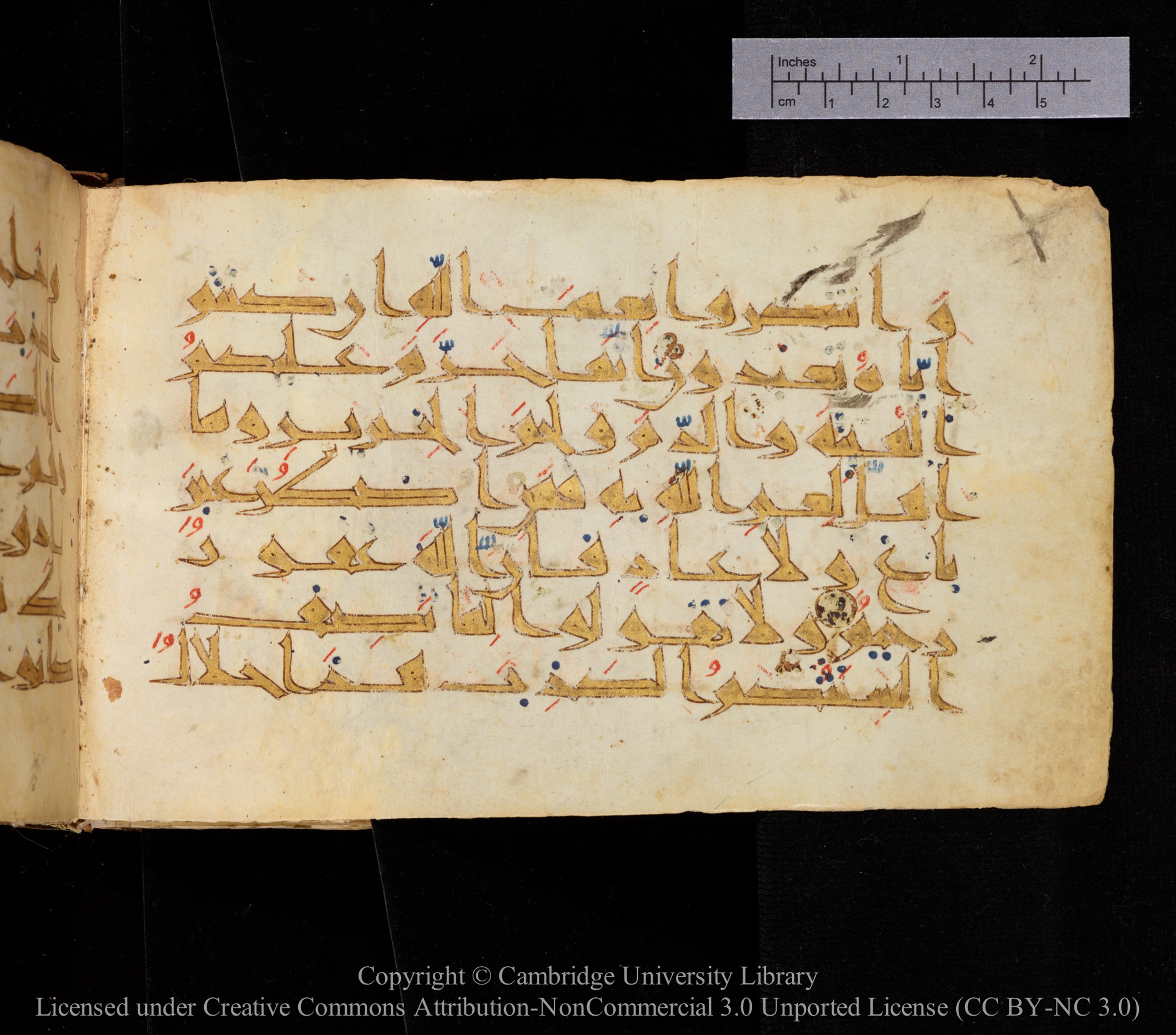 Cambridge MS Or.476 (Scan 1), in New Style I script, showing Surah 16:116 from 10th to 11th Century AD found in Unknown, currently housed at Cambridge University Library, Cambridge