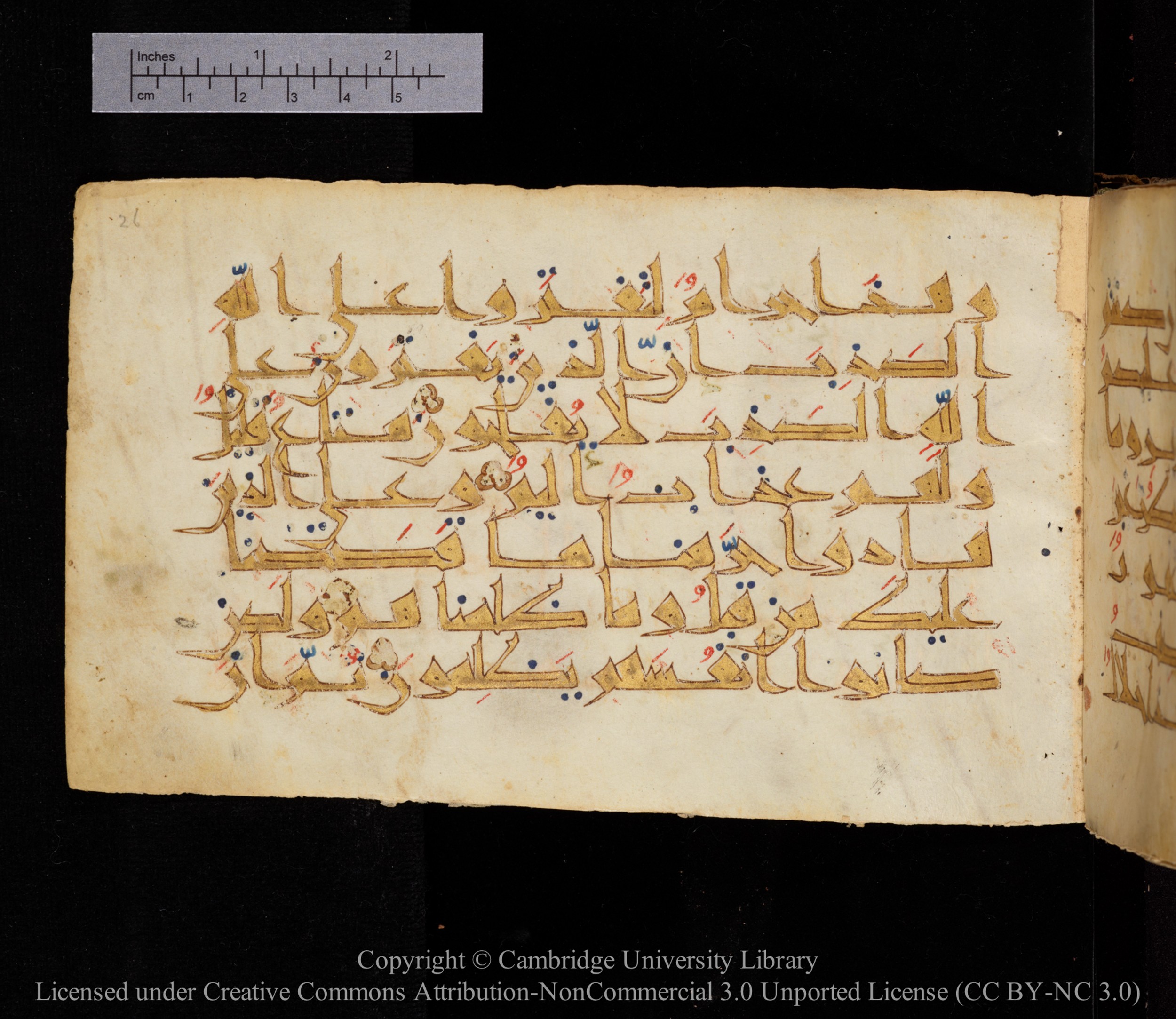 Cambridge MS Or.476 (Scan 2), in New Style I script, showing Surah 16:116 from 10th to 11th Century AD found in Unknown, currently housed at Cambridge University Library, Cambridge