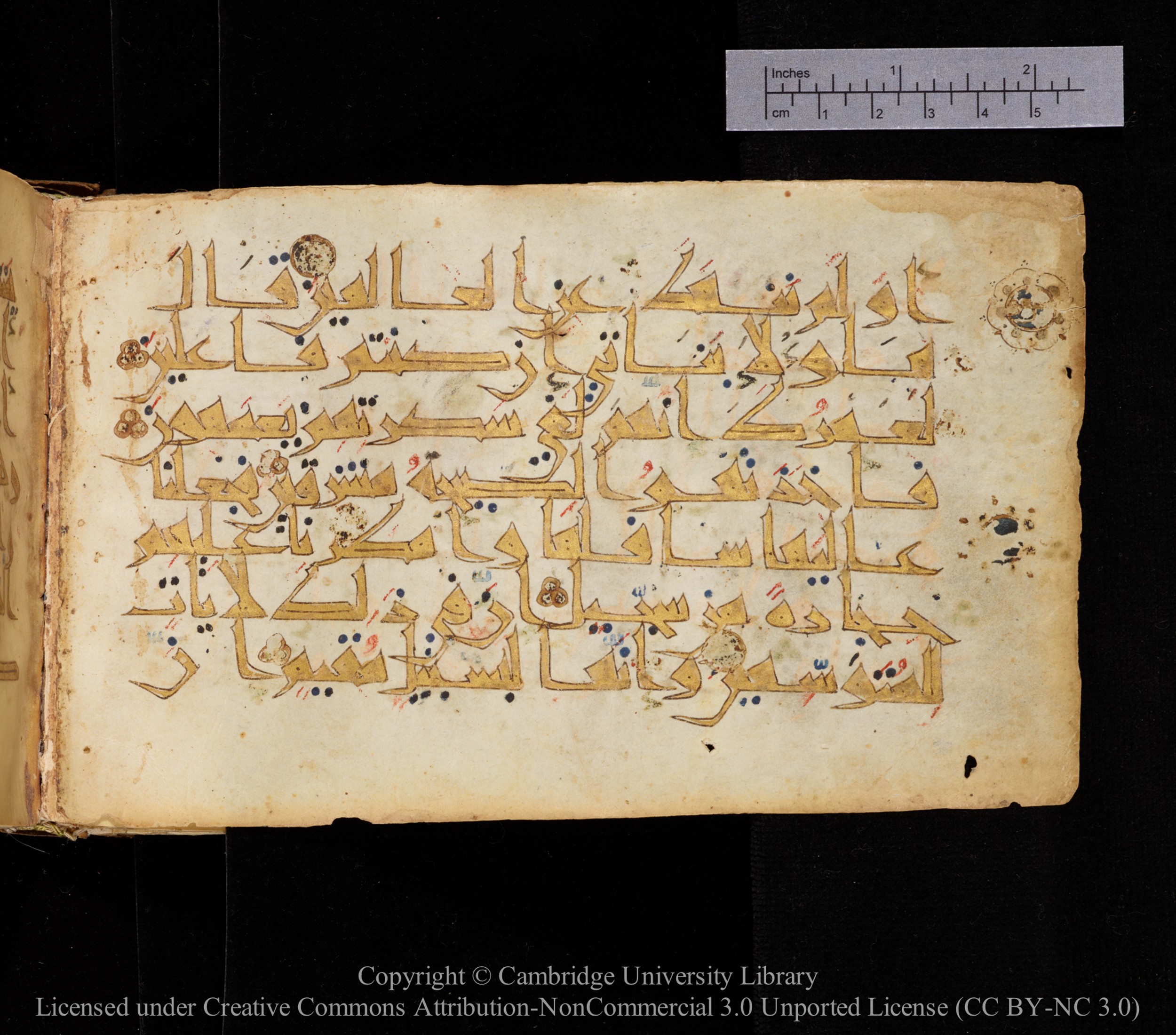 Cambridge MS Or.476, in New Style I script, showing Surah 15:71 from 10th to 11th Century AD found in Unknown, currently housed at Cambridge University Library, Cambridge