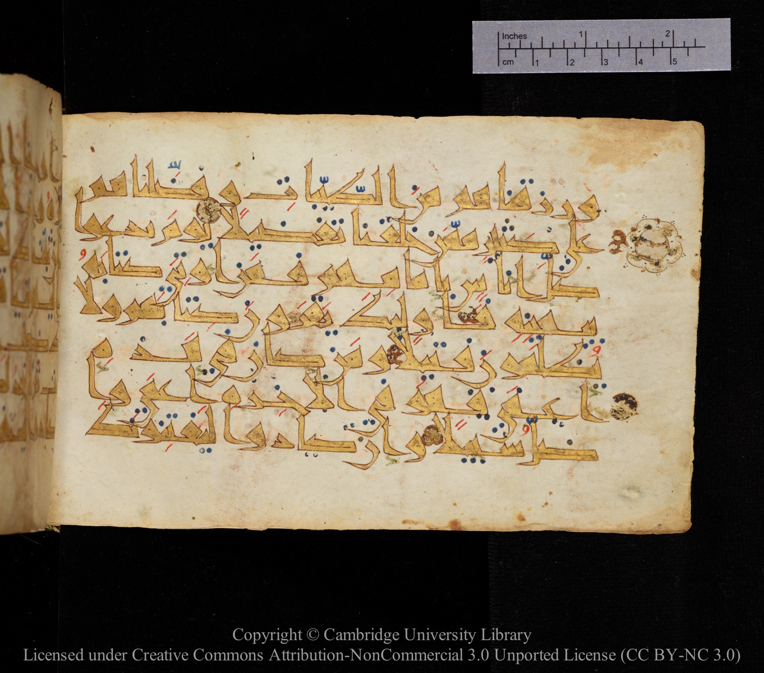 Cambridge MS Or.476, in New Style I script, showing Surah 17:71 from 10th to 11th Century AD found in Unknown, currently housed at Cambridge University Library, Cambridge