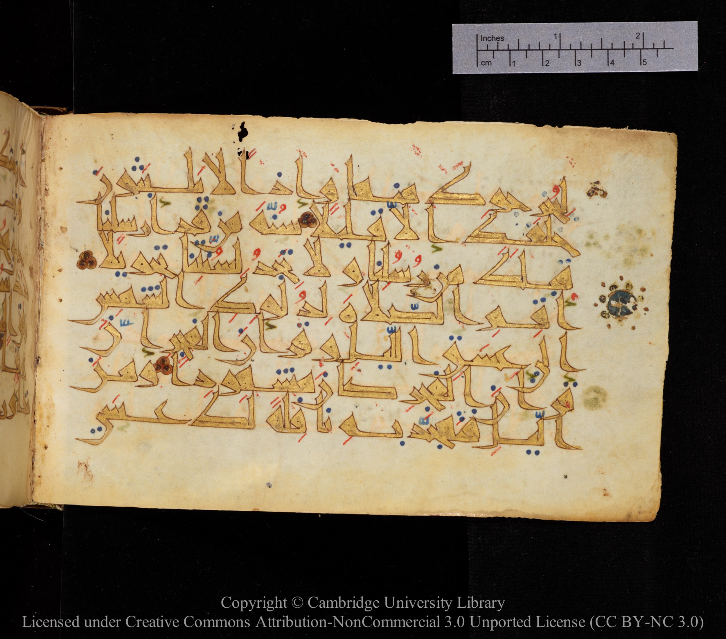 Cambridge MS Or.476 (Scan 2), in New Style I script, showing Surah 17:76 from 10th to 11th Century AD found in Unknown, currently housed at Cambridge University Library, Cambridge