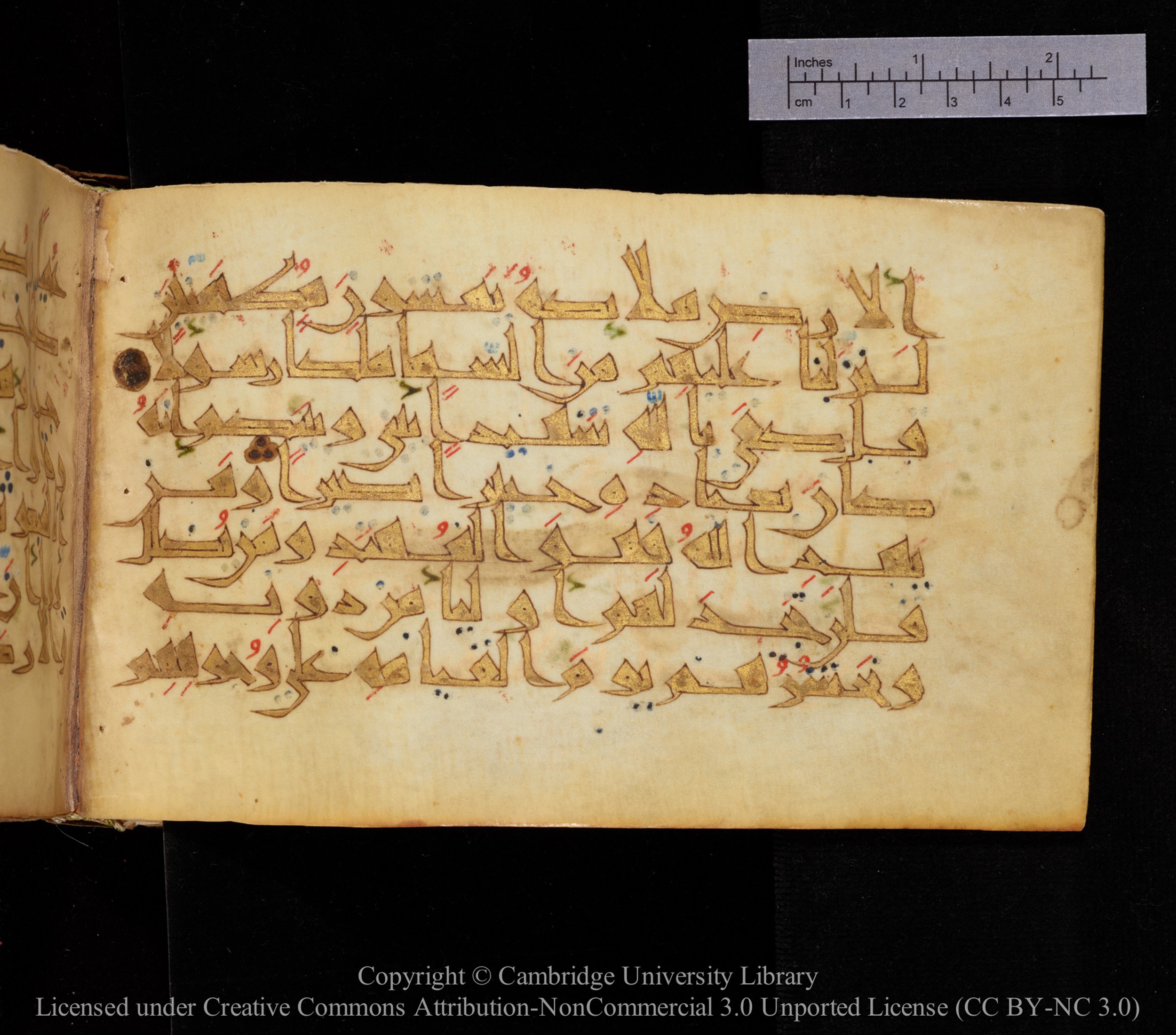 Cambridge MS Or.476 (Scan 1), in New Style I script, showing Surah 17:97 from 10th to 11th Century AD found in Unknown, currently housed at Cambridge University Library, Cambridge